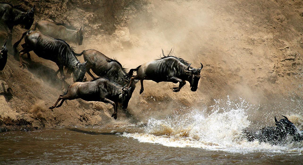 4-Day Masai Mara & Lake Nakuru 4WD Camping Safari