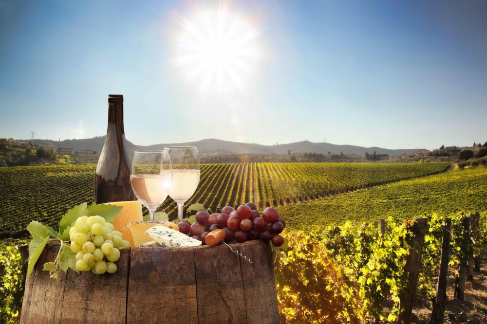 Cape Winelands Wine Tasting Tour