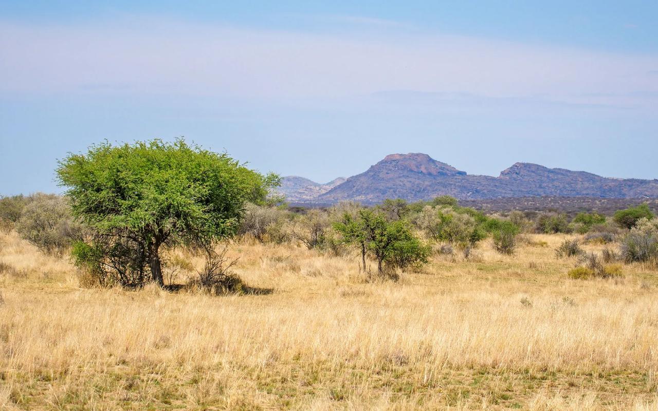 Bushveld Walking Safari at N/a'an ku sê Sanctuary