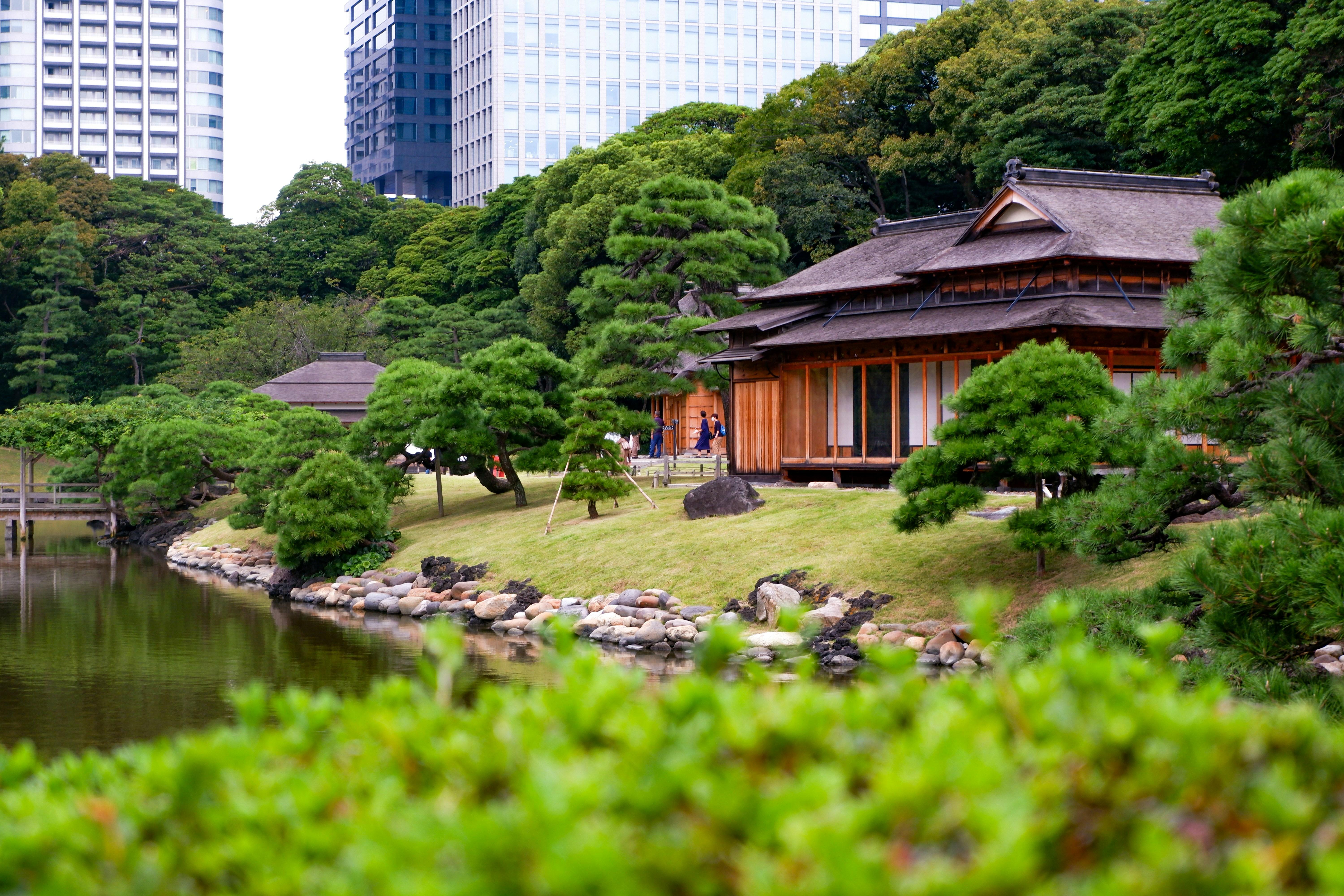 Tokyo Tradition & Modernity: Garden, Scenic Train & Odaiba