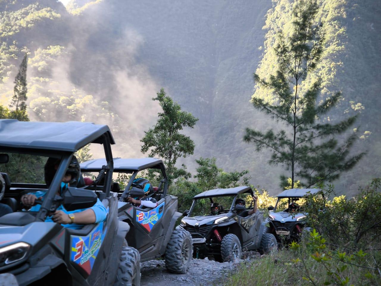 Wild South Buggy Adventure