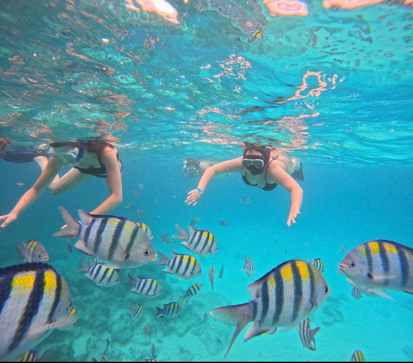 Mnemba Island Dolphin Swim & Snorkel Tour