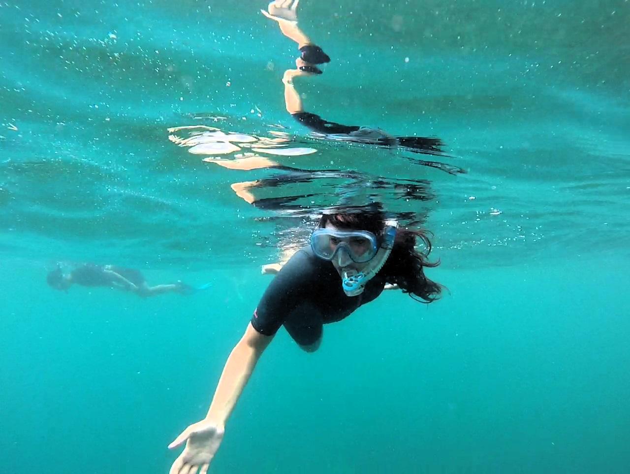 Guided Snorkeling in Cambrils with Marine Ecosystem Commentary