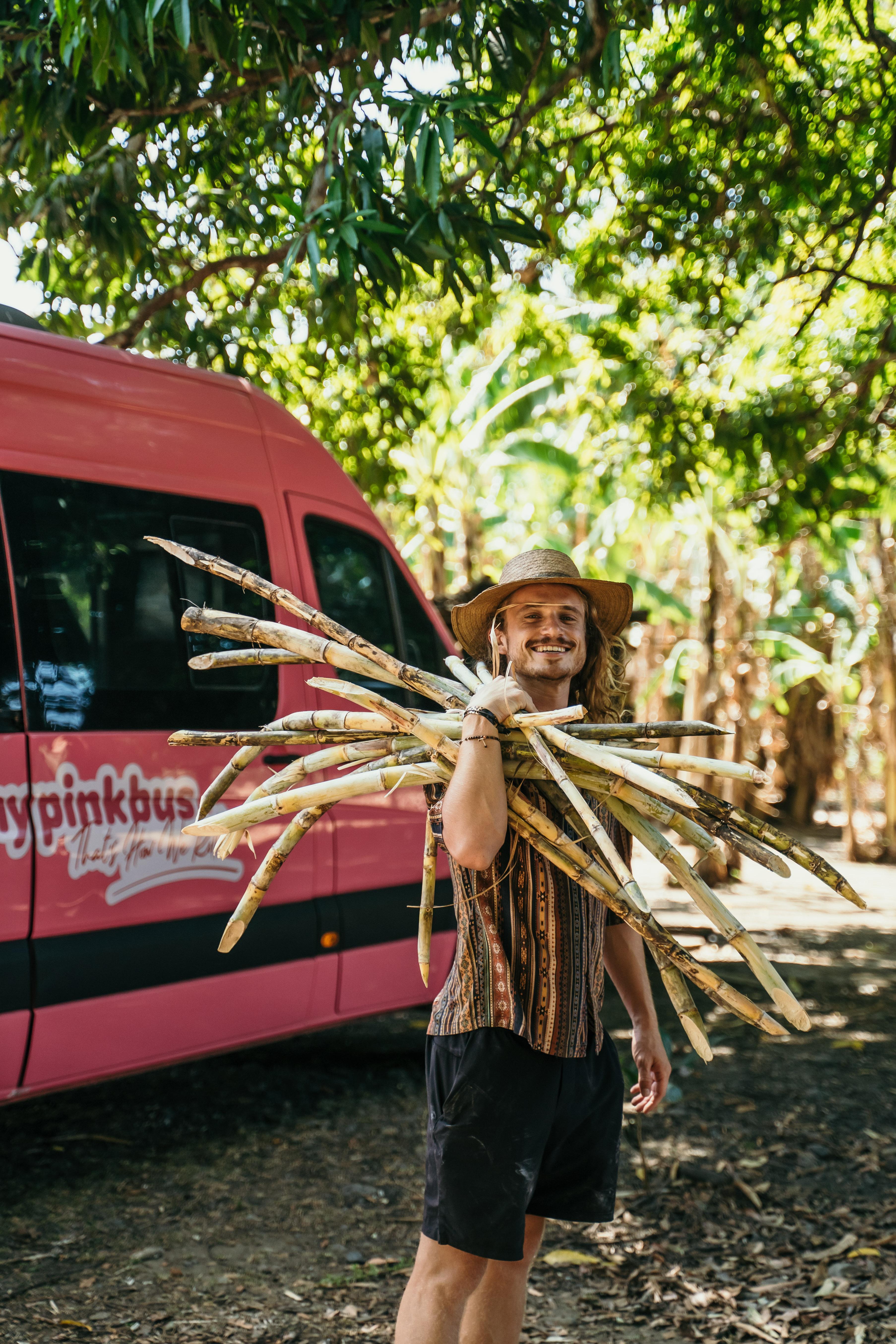 La Fortuna to San José Shuttle – MyPinkBus
