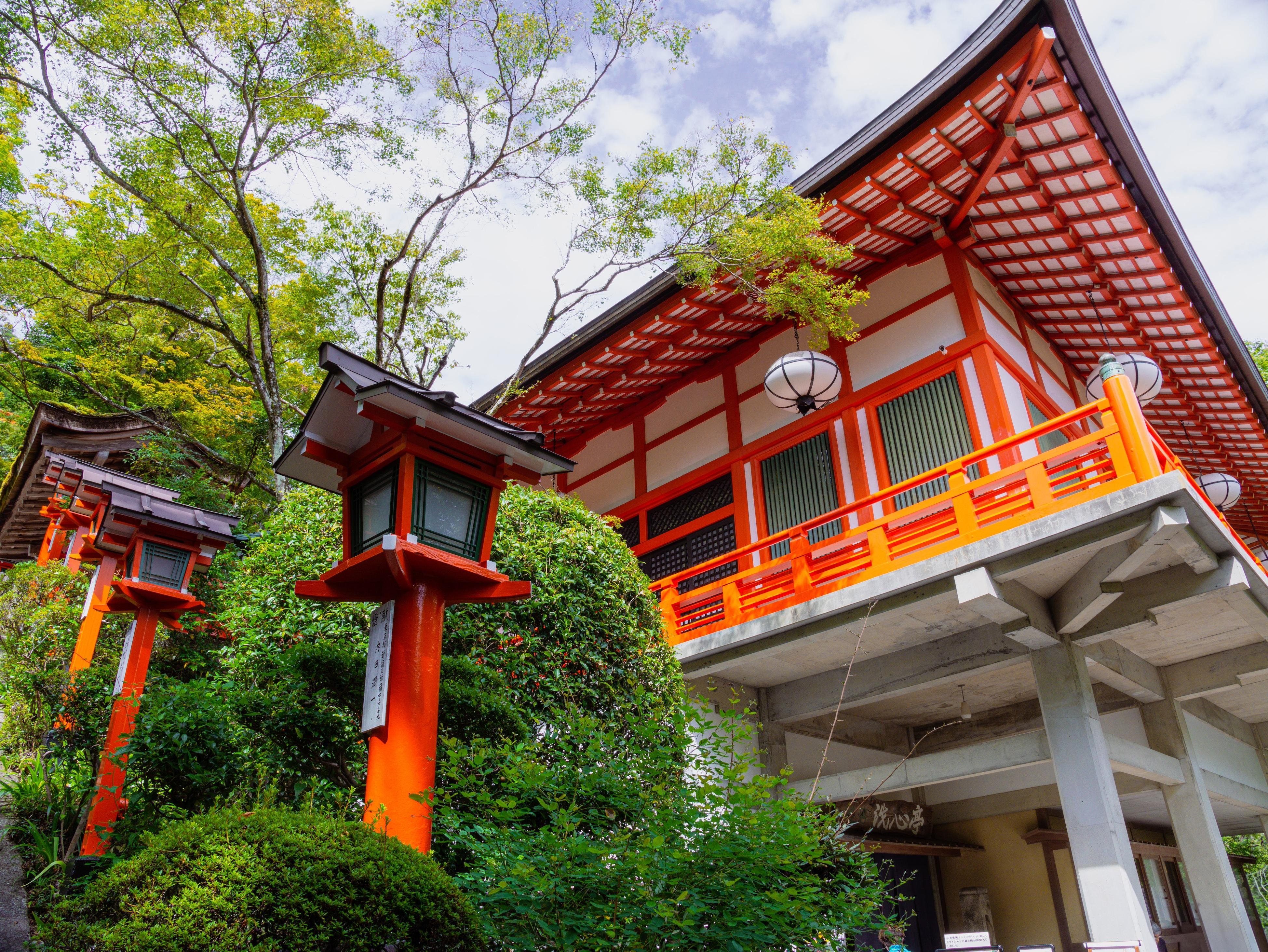 Kyoto experience — temples, geisha, bamboo grove — image 2