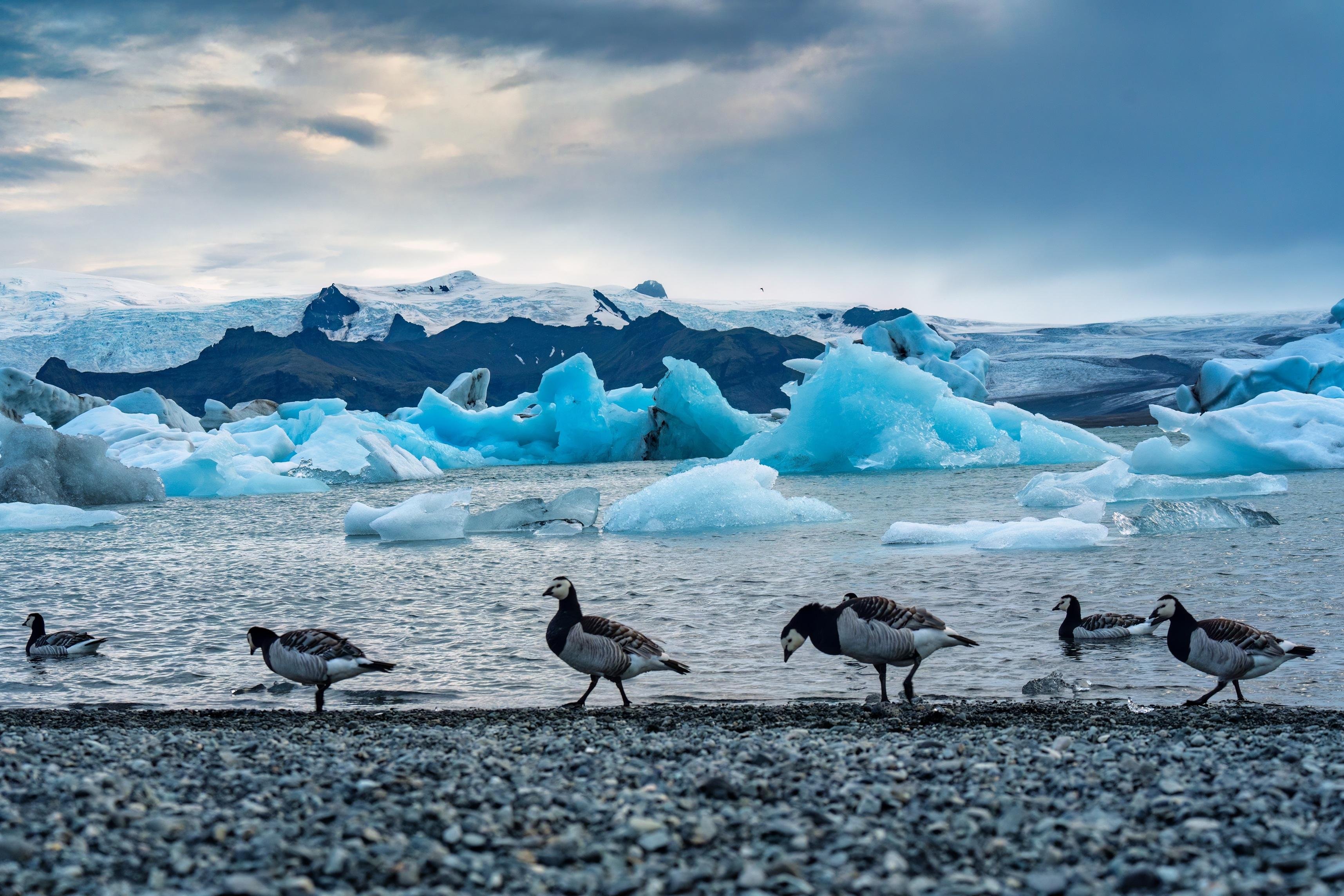 South Coast Glacier Lagoon & Diamond Beach Tour with Chinese Guide