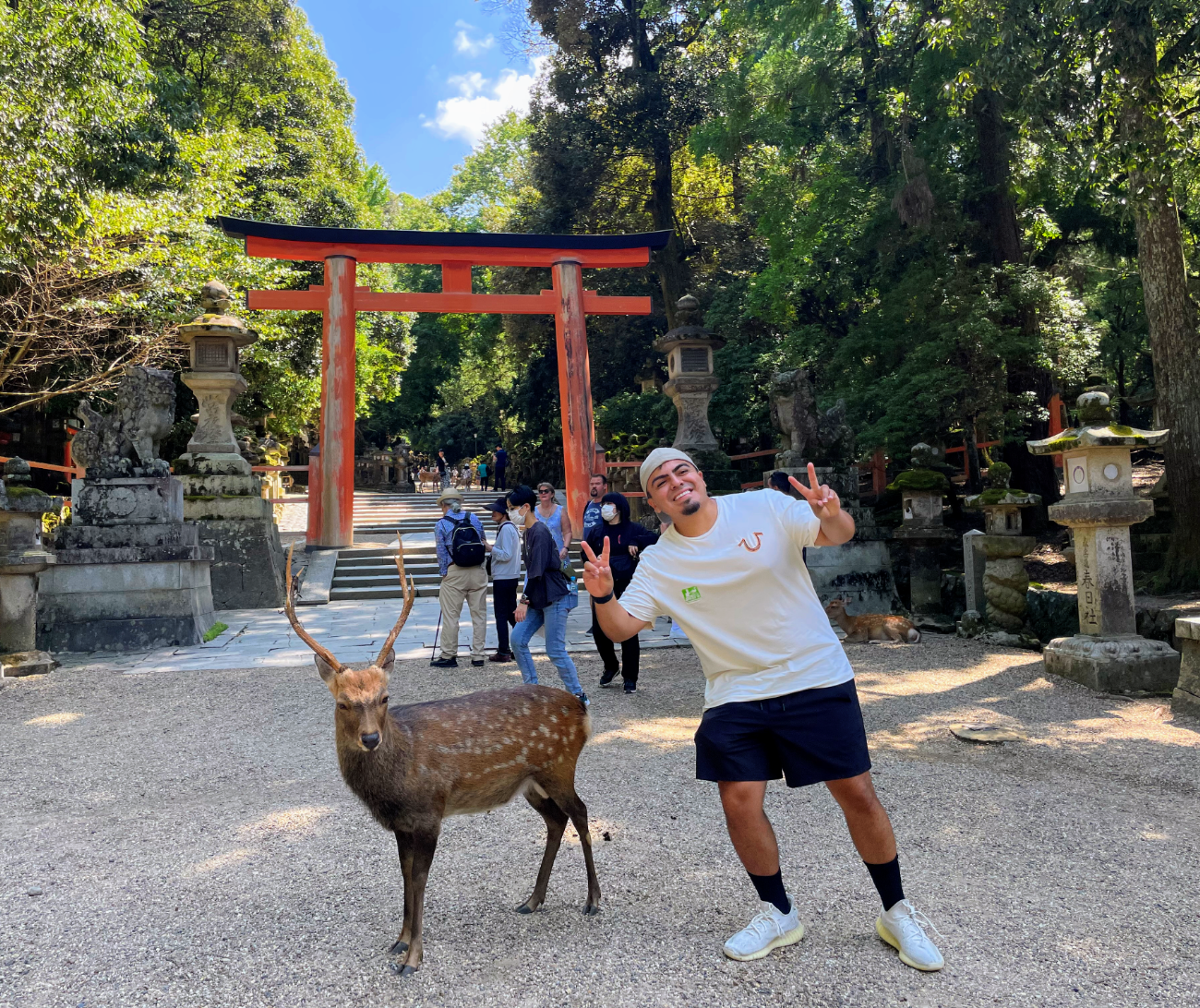 Nara Guided Half-Day Morning Tour from Kyoto