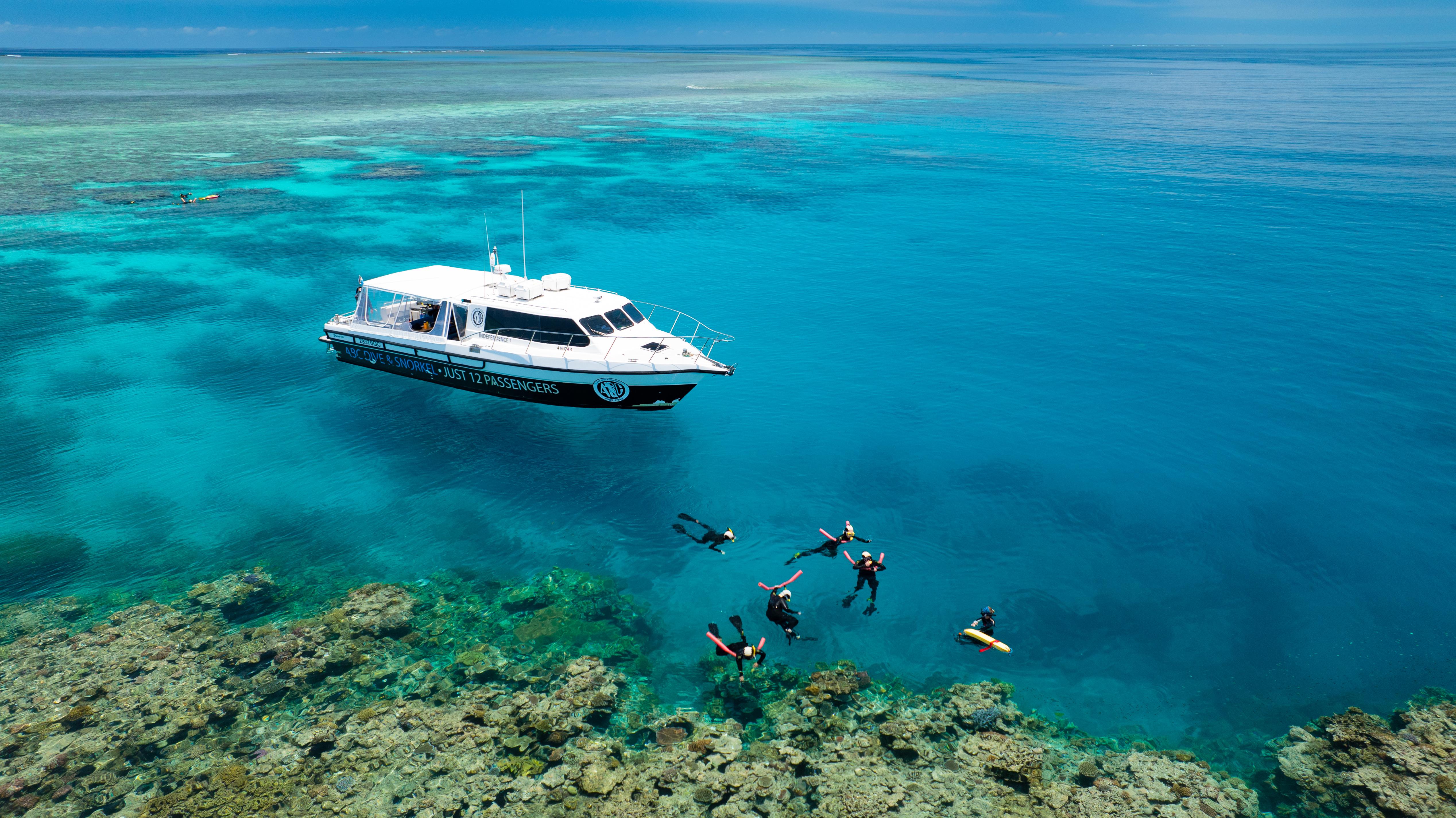 Small-Group Reef Snorkeling with Marine Biologist