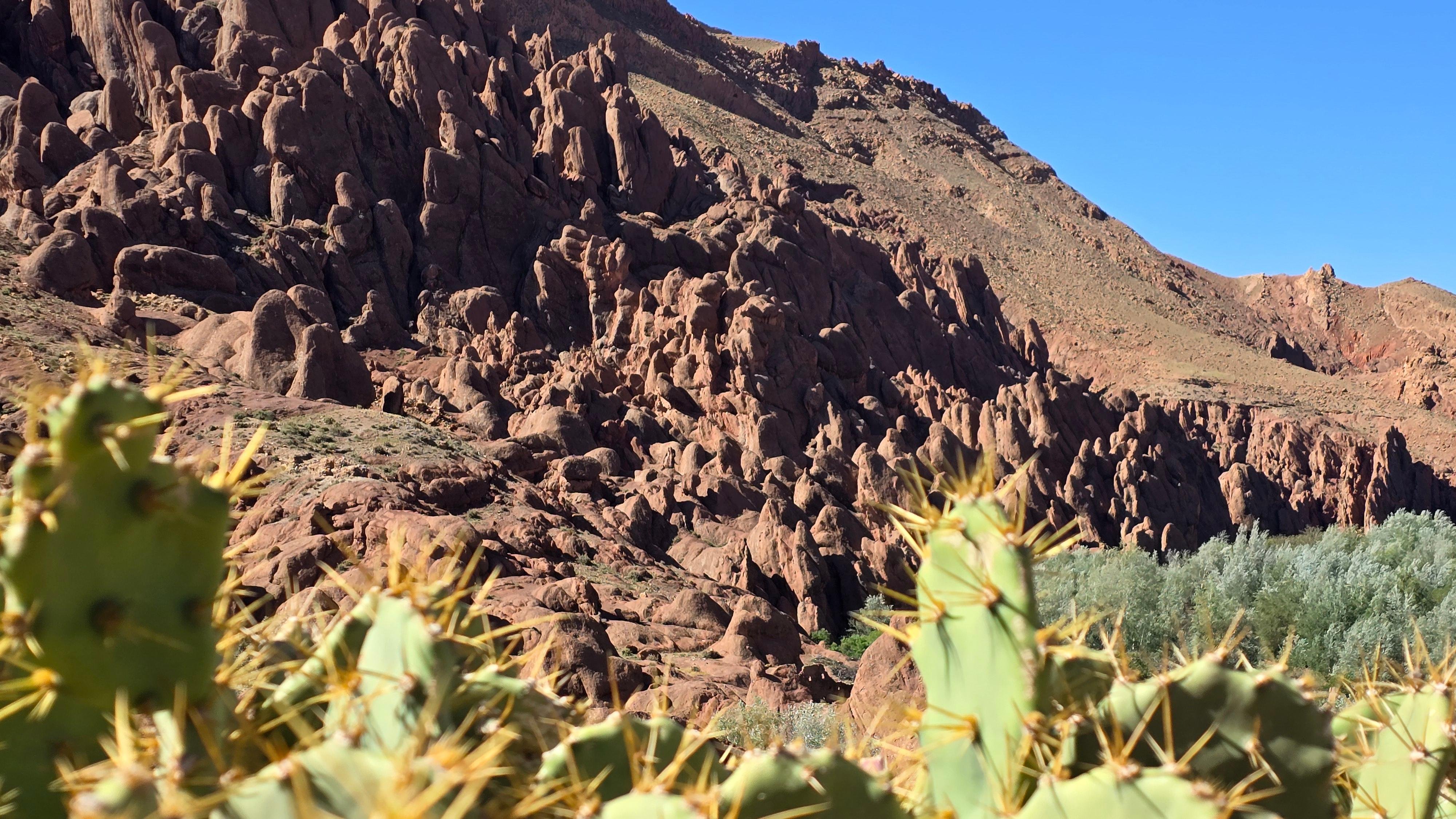 6-Day High Atlas & Sahara Desert Private Expedition from Casablanca
