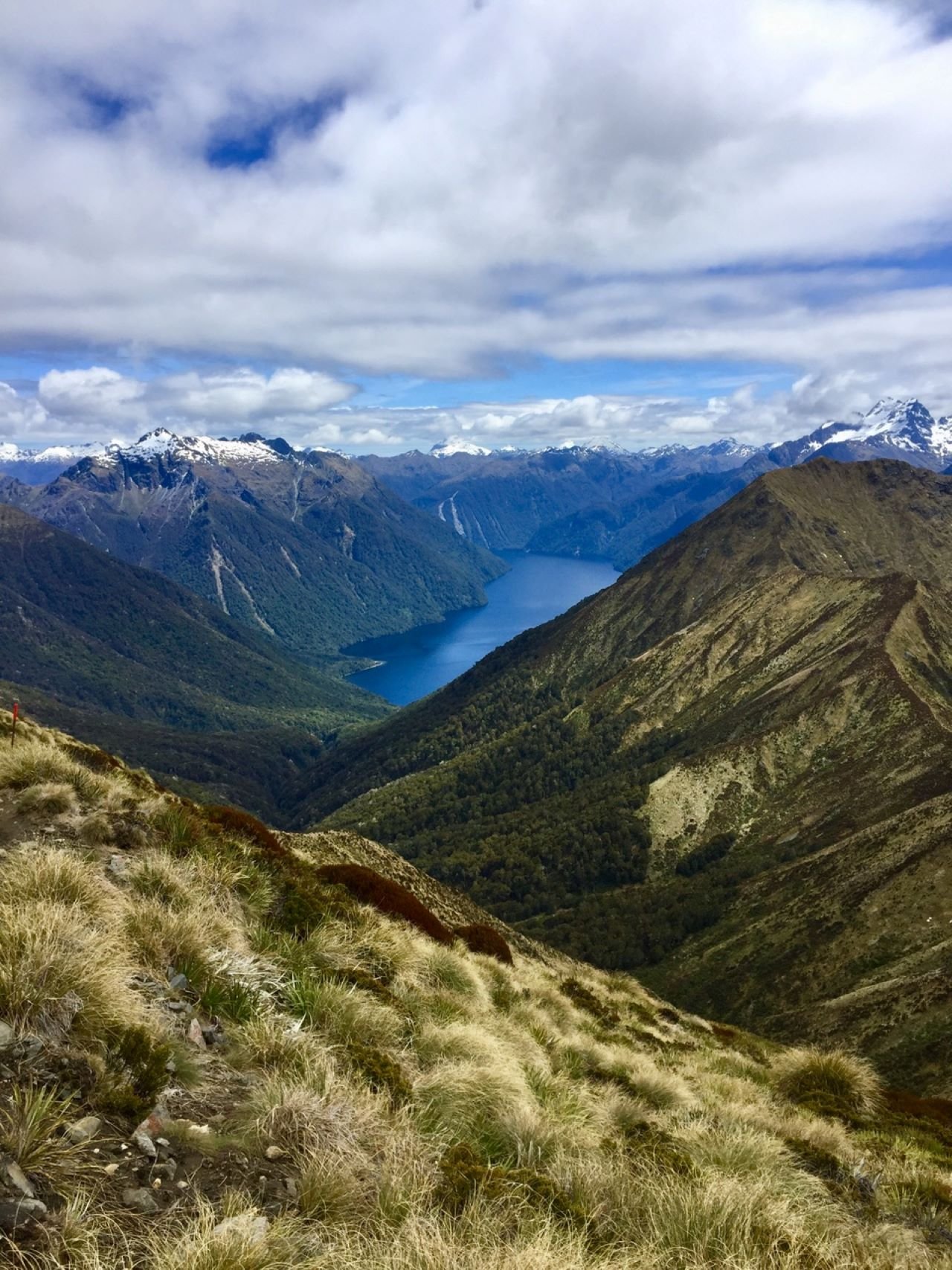 Fiordland Helicopter Adventure from Te Anau