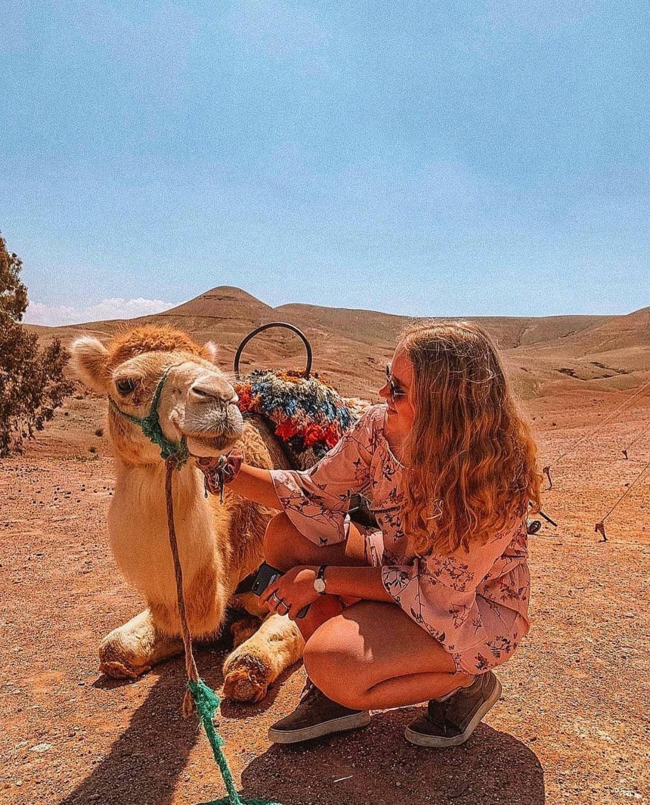 Agafay Desert Sunset, Camel Ride & Berber Dinner Show from Marrakech
