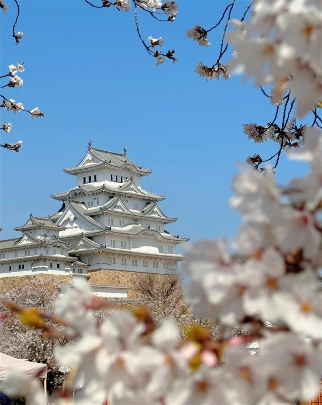 Osaka: Himeji Castle, Arima Onsen & Mount Maya Small-Group Trip