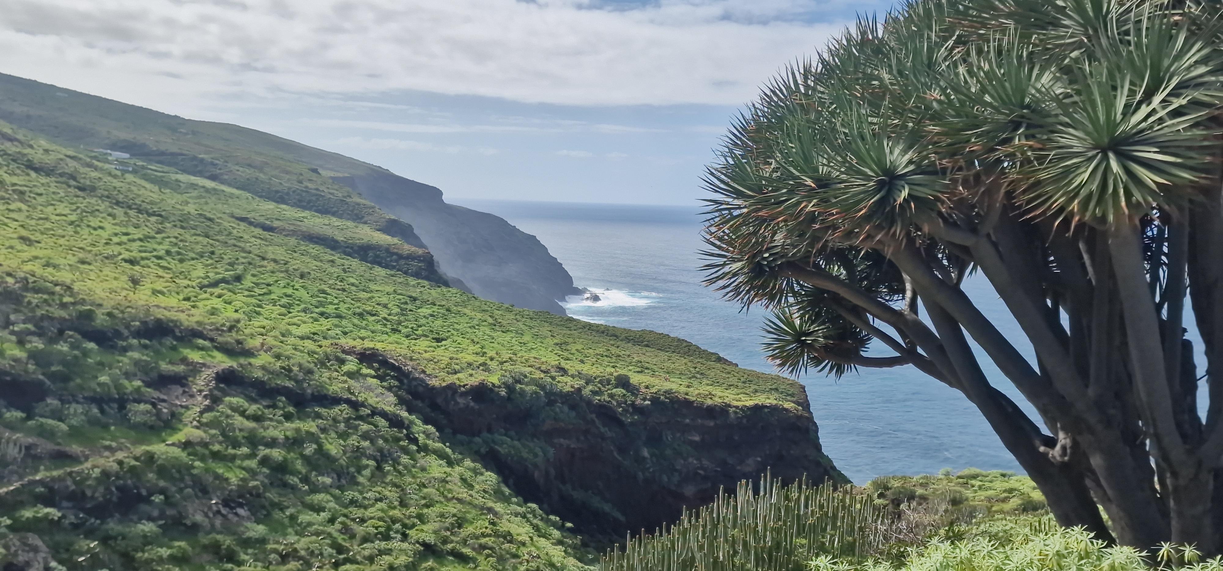 Garafía Wilderness Trek: Journey Through La Palma's Forgotten North