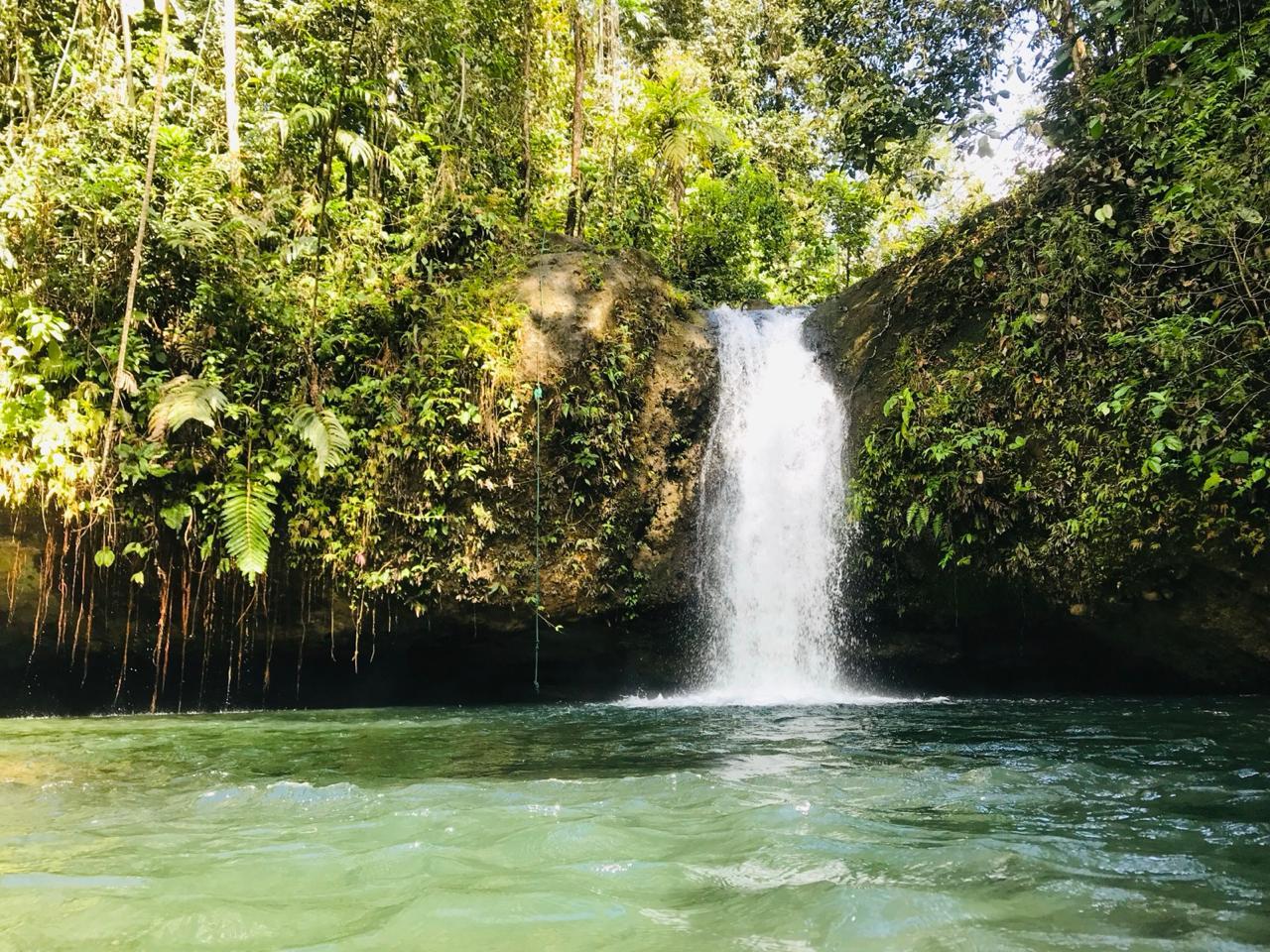 Mindo Cloud Forest: Waterfalls, Chocolate & Hummingbirds