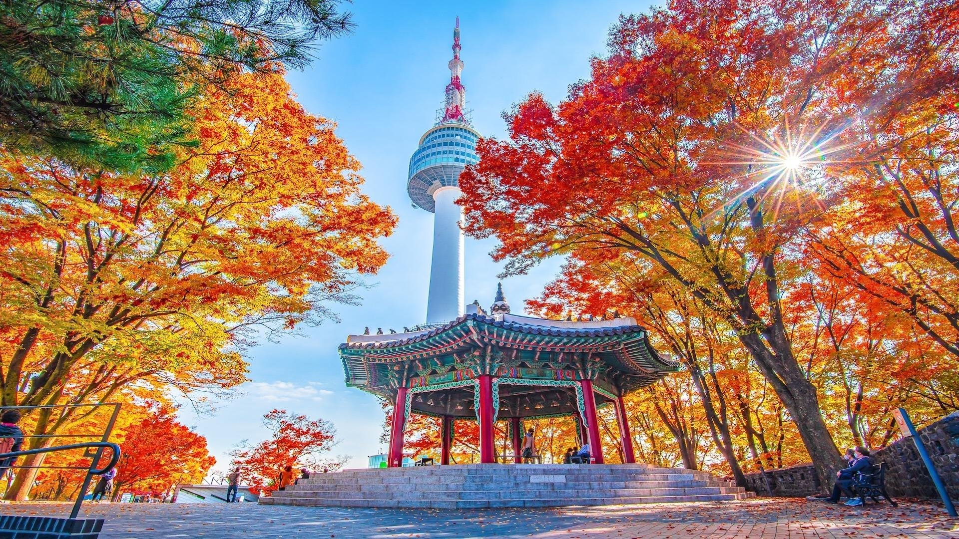 N Seoul Tower Observatory & Namsan Cable Car Combo