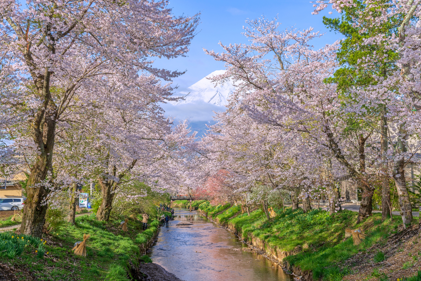 Mount Fuji Full-Day Sightseeing Tour from Tokyo