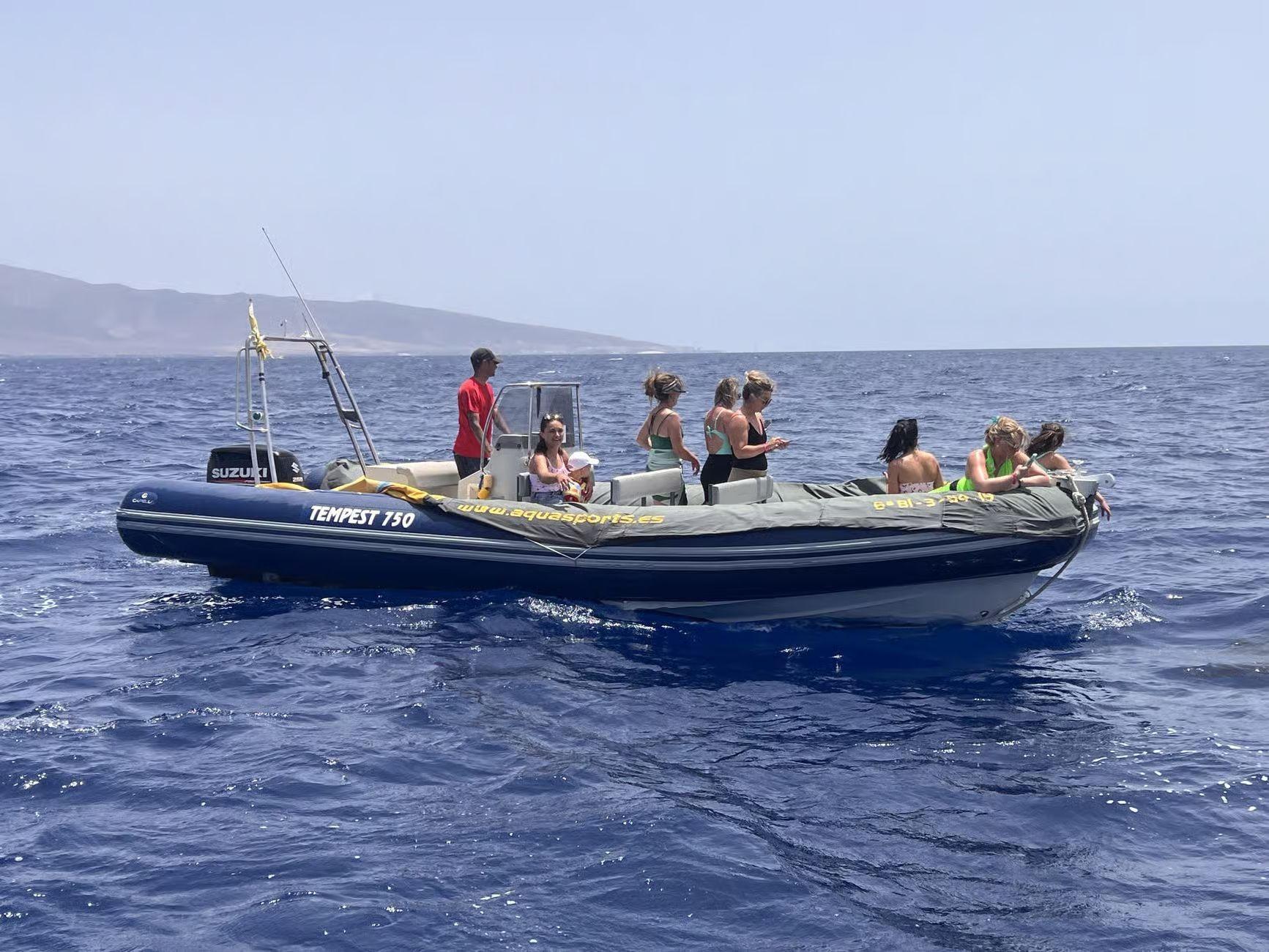 Speedboat Wildlife Adventure from Morro Jable