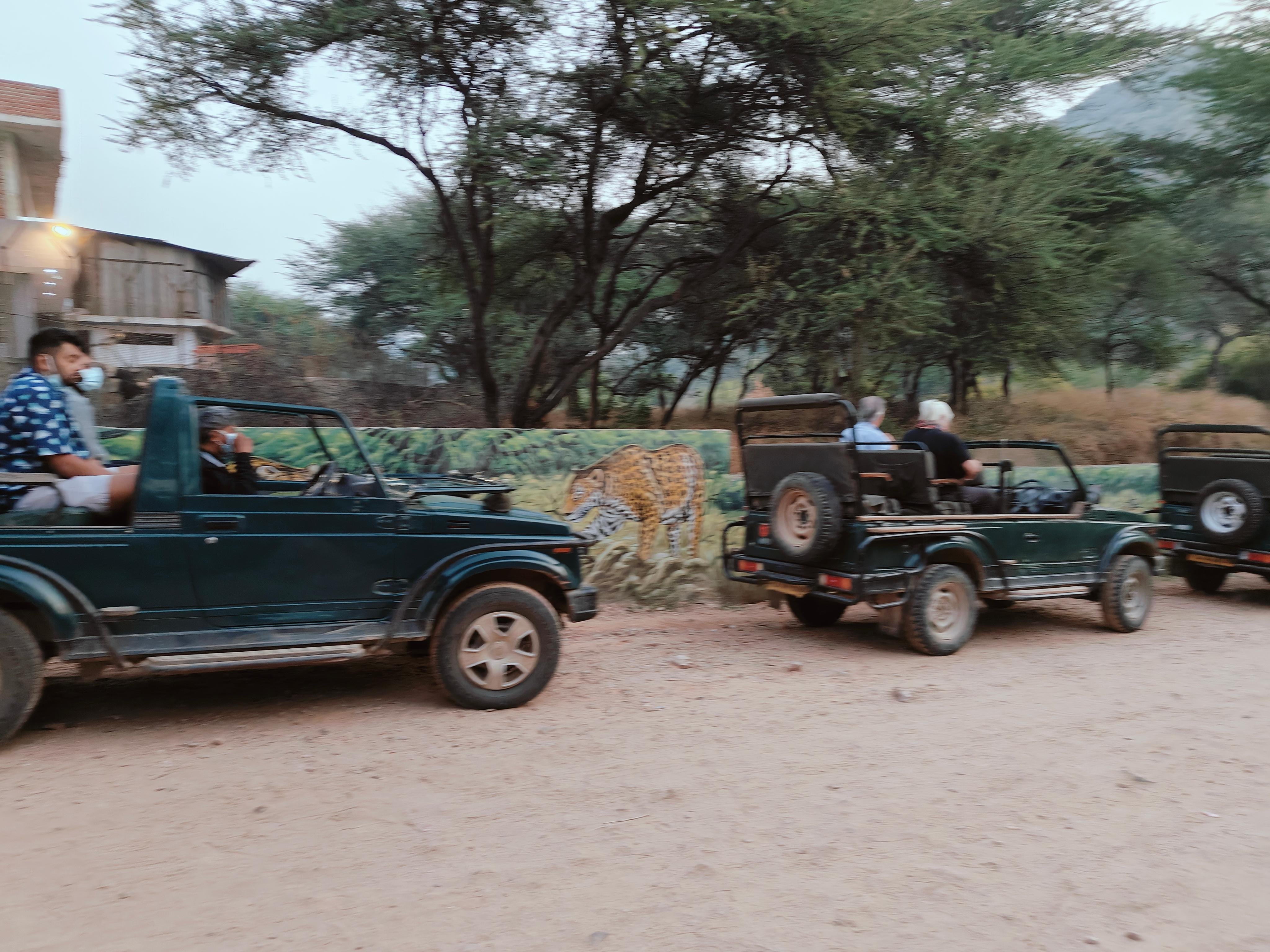 Jaipur Jhalana Amagarh Leopard Reserve 4×4 Jeep Safari