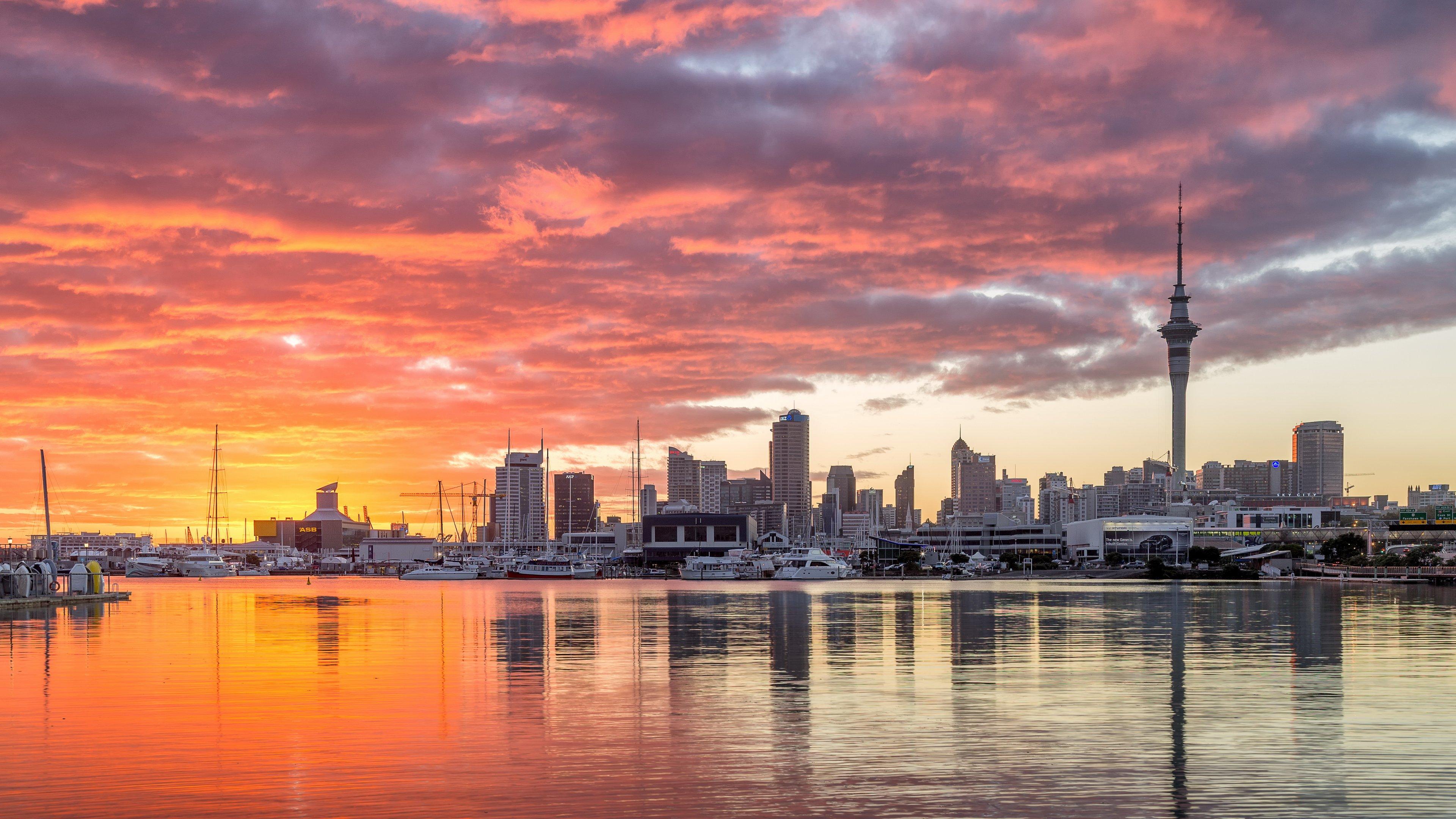 Auckland Scenic Half-Day Discovery Tour