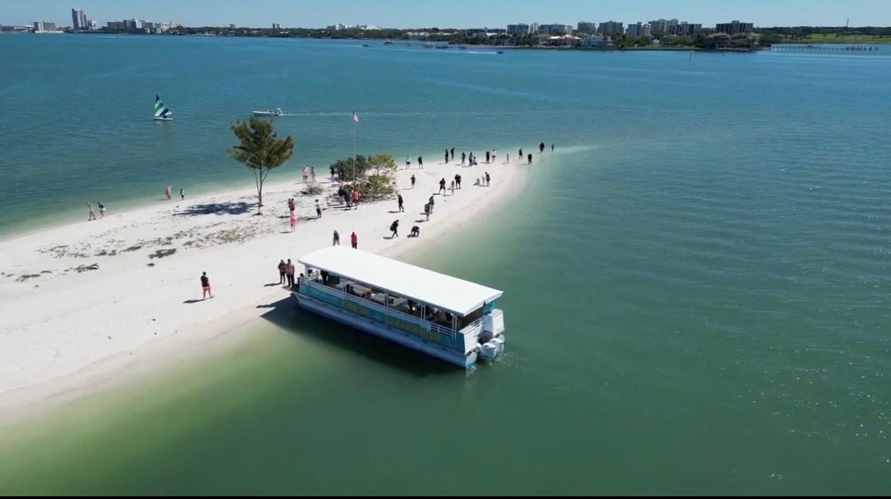 Dolphin & Island Sandbar Cruise, the lead tour returning across calm water