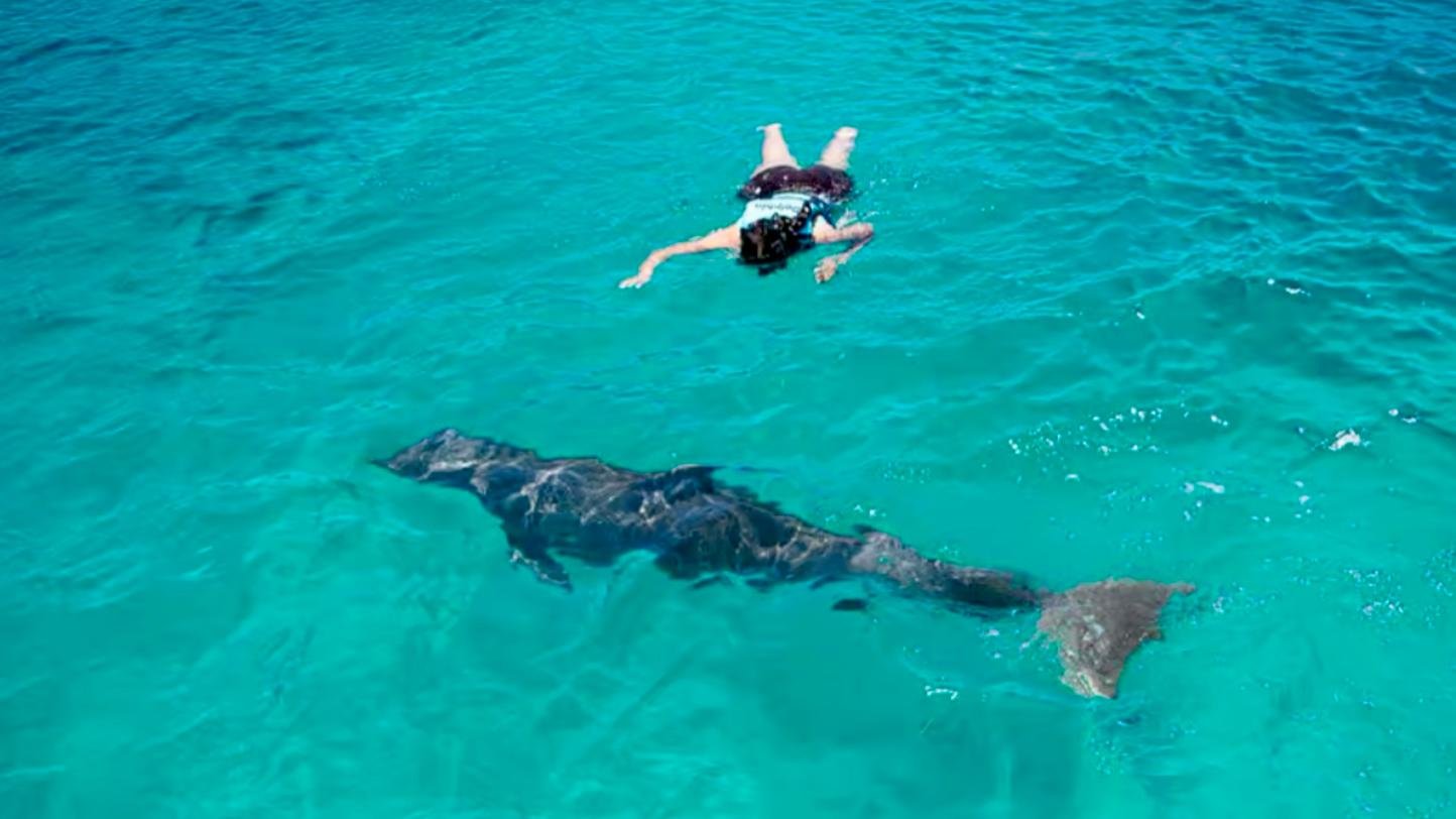 Puerto Rico Private Boat, Jet Ski & Water Sports Adventure