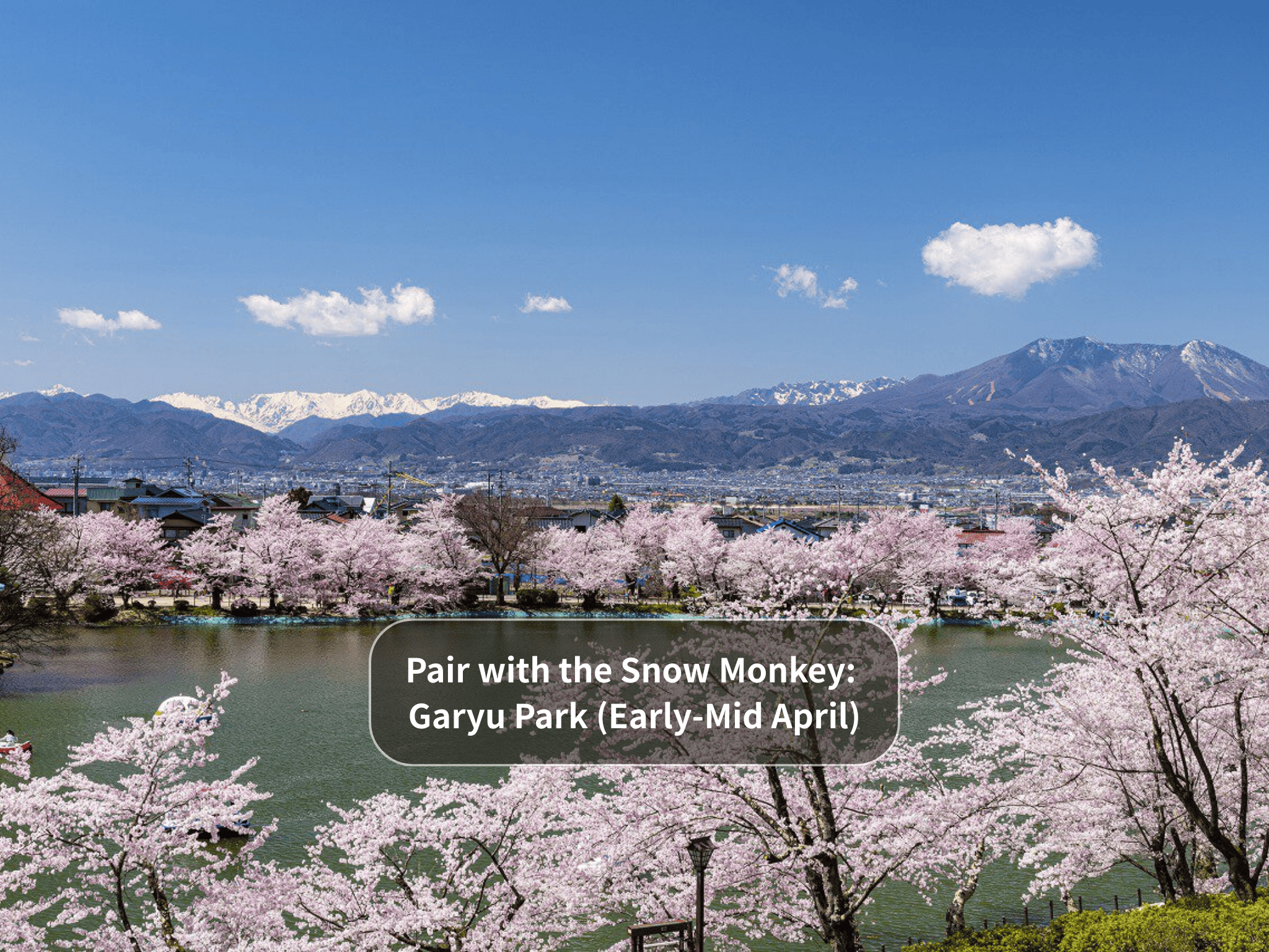 Nagano Snow Monkeys & Hidden Gems Private Day Tour