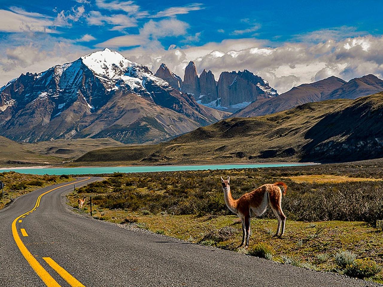 Torres del Paine & Grey Glacier Full-Day Tour from Punta Arenas