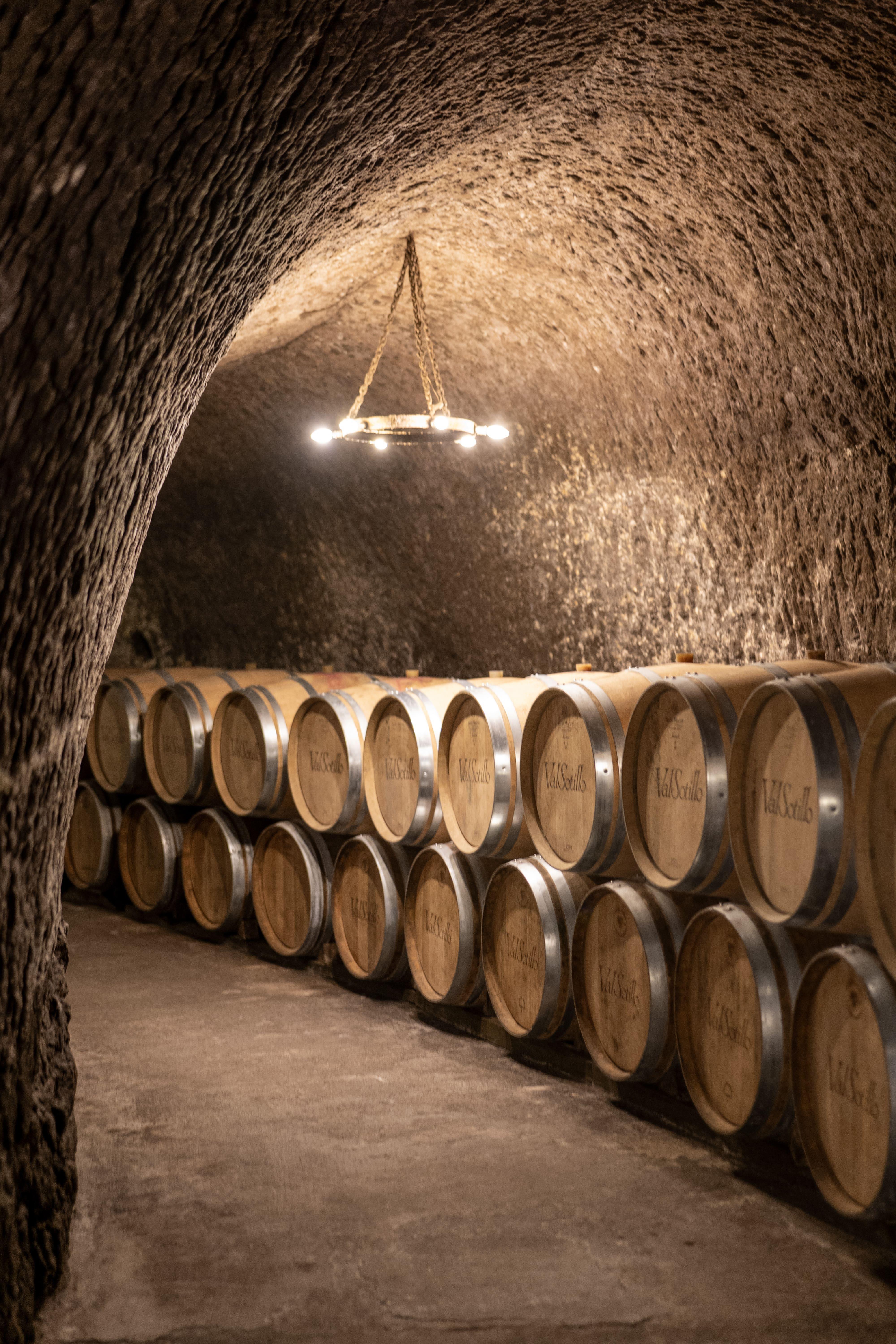 wine tour in Ribera del Duero — photo 2