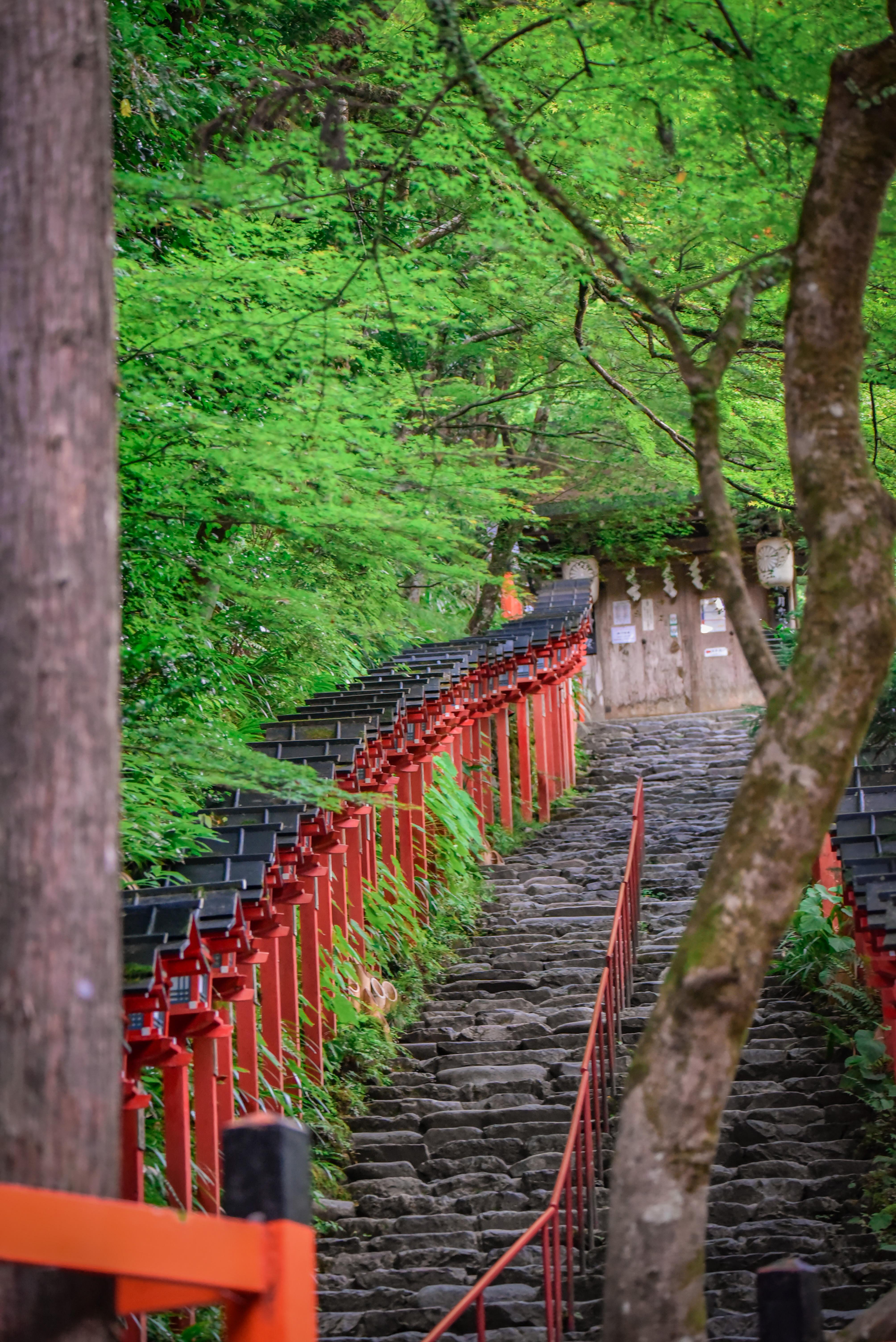 Kyoto Private Day Tour with Guide & Vehicle