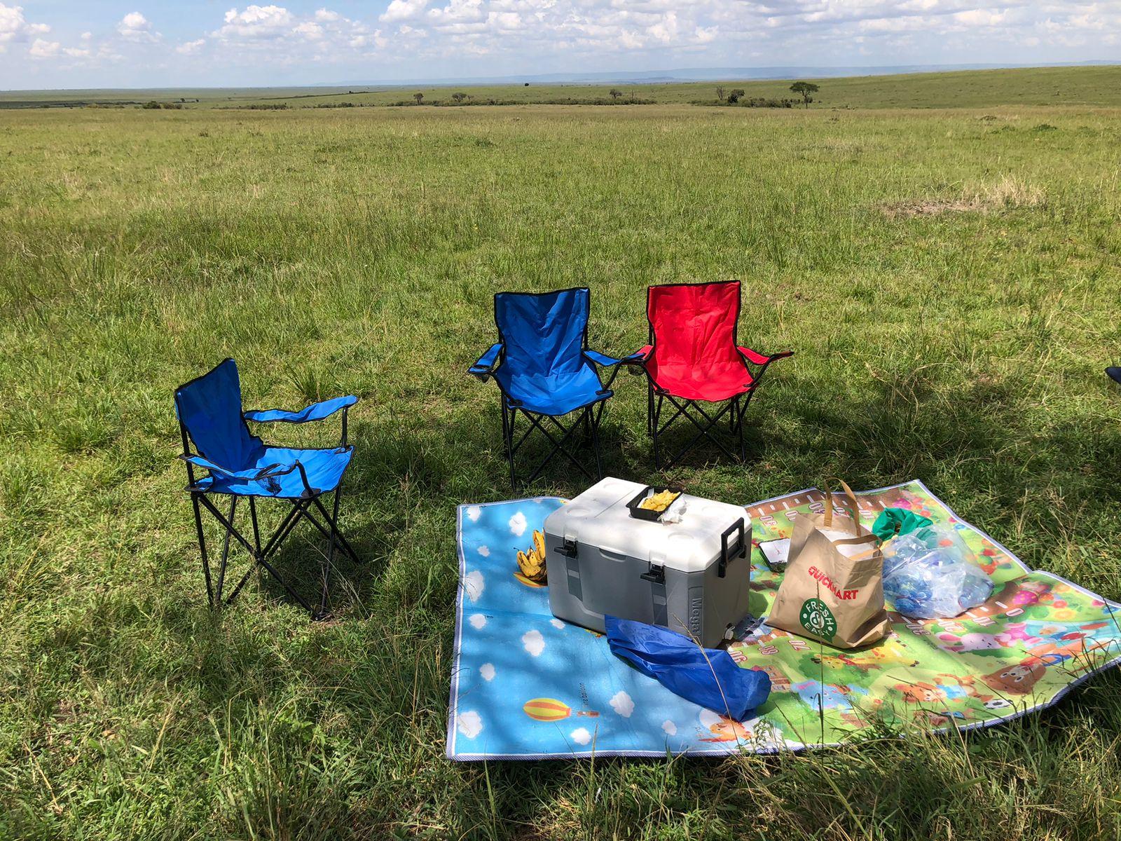 3-Day Masai Mara Safari Adventure from Nairobi