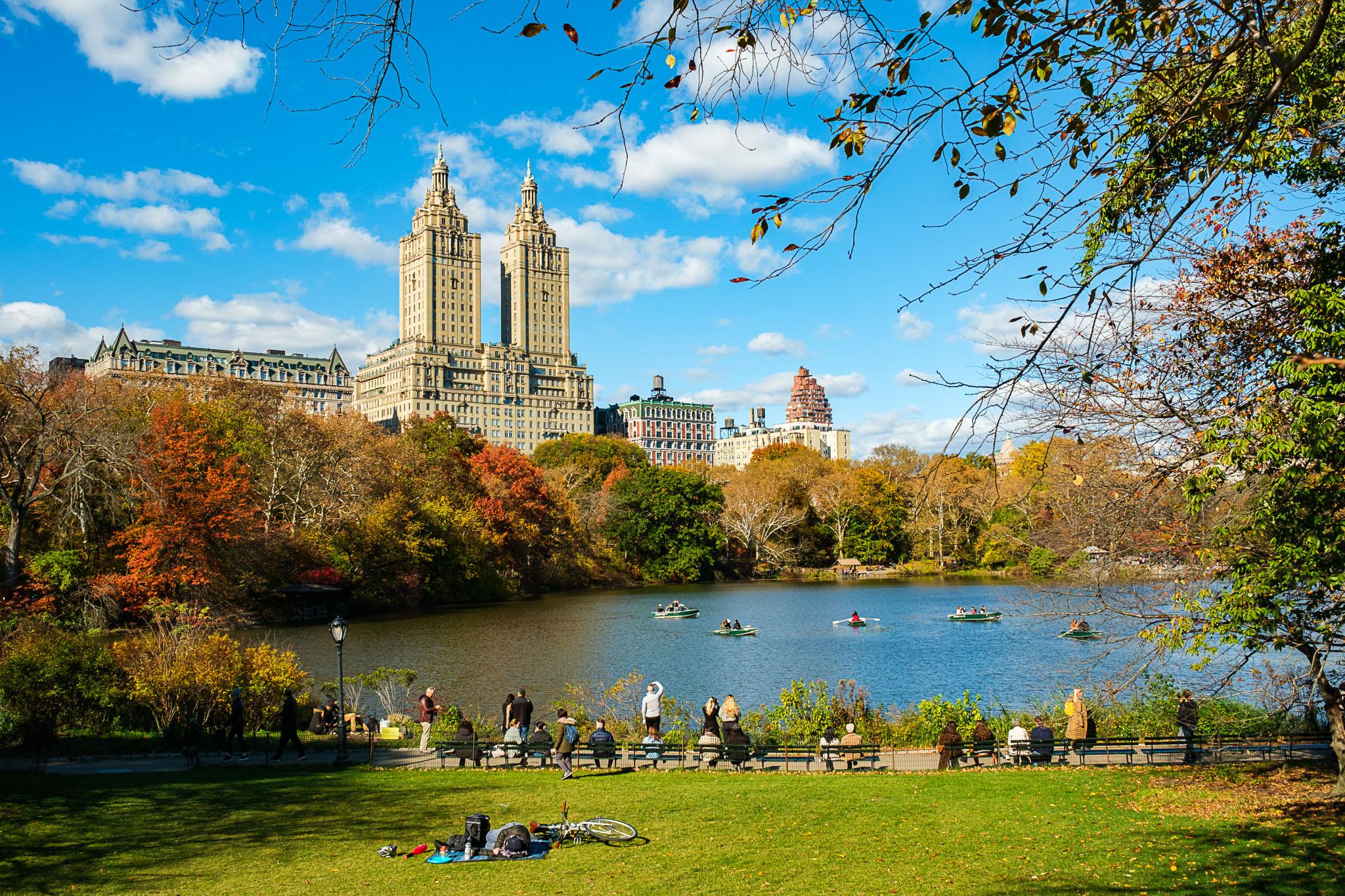 NYC: Private Central Park Pedicab Guided Tour