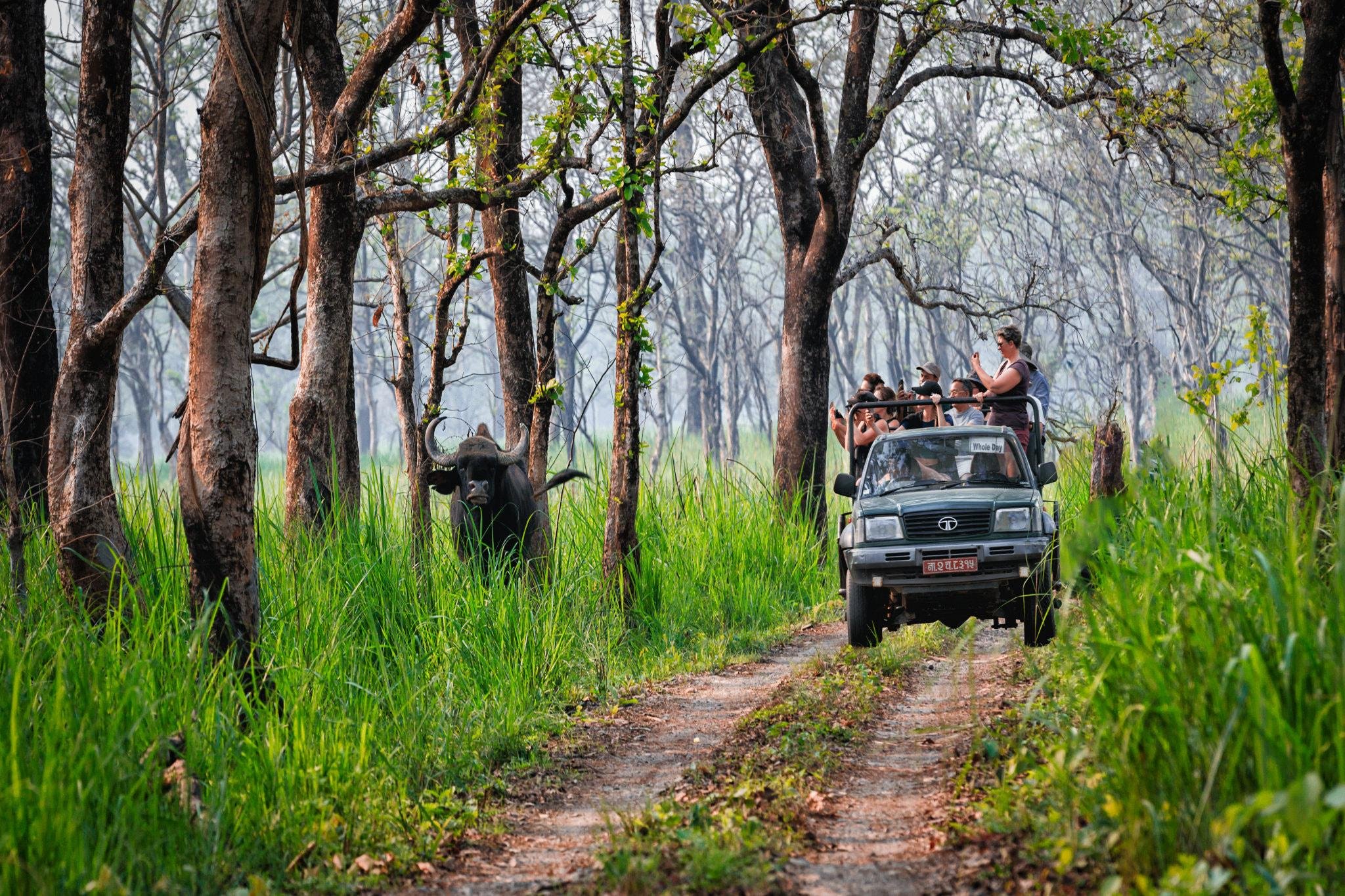 3-Day All-Inclusive Chitwan National Park Safari