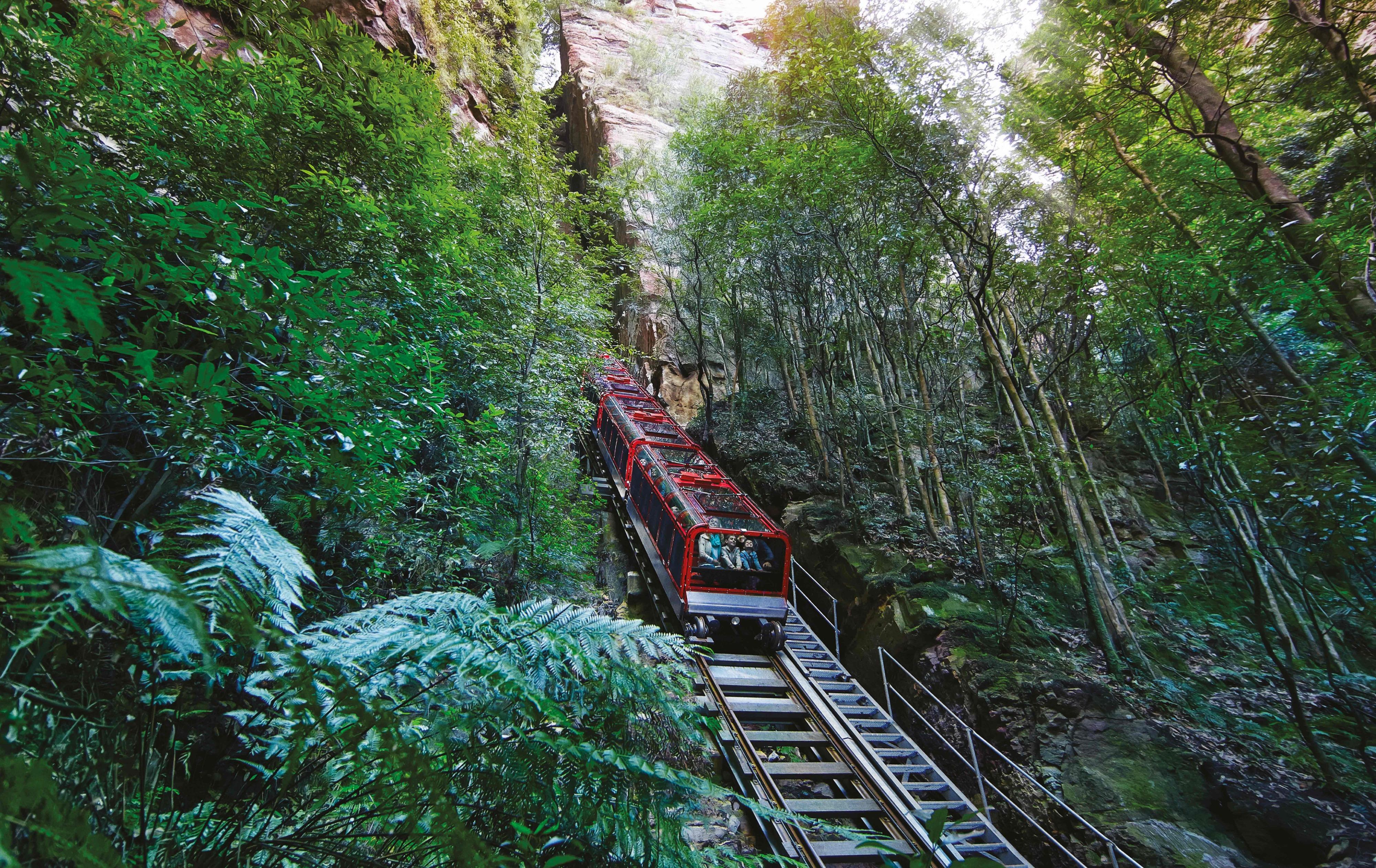 Blue Mountains, Sydney Zoo & Koala Photo — Small Group Day Tour