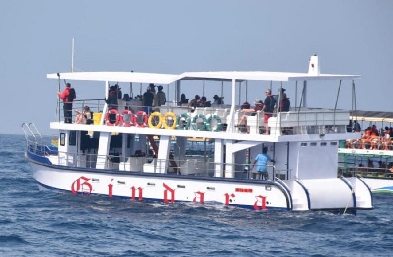 Mirissa Whale & Dolphin Watching Expedition