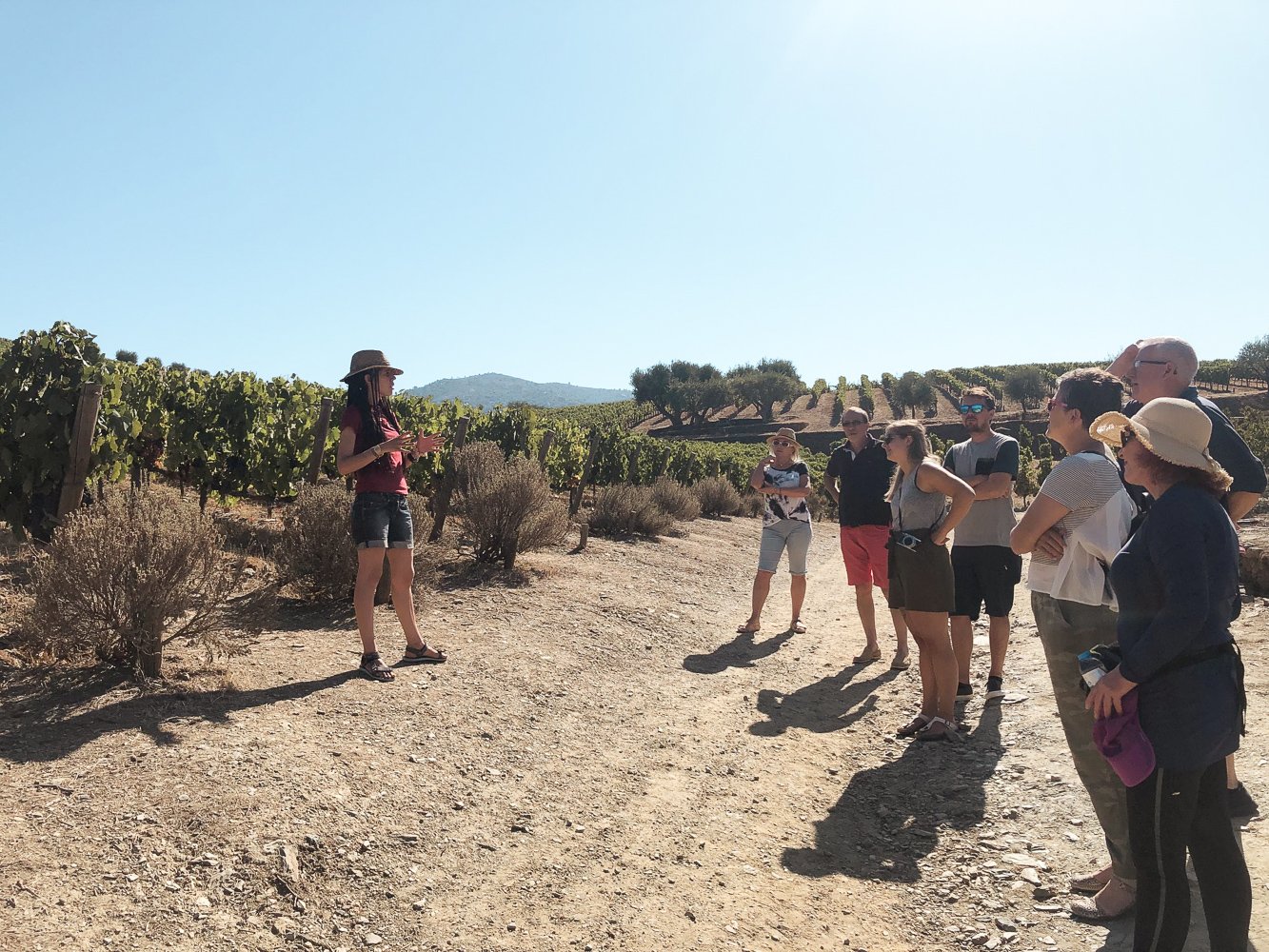 Douro Valley Premium Wine Tour with Cruise & Lunch from Porto