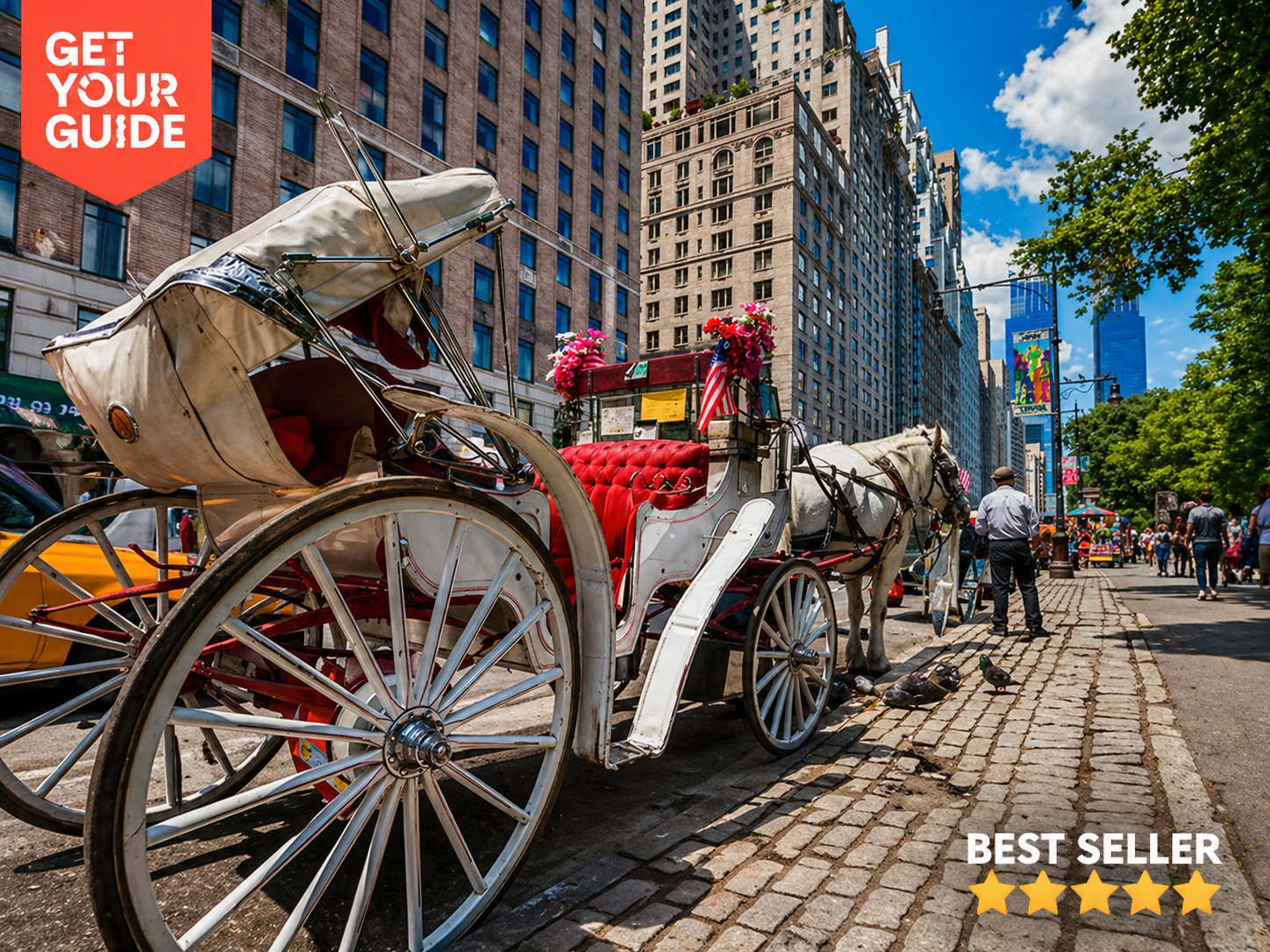 Central Park Christmas Horse Carriage Ride