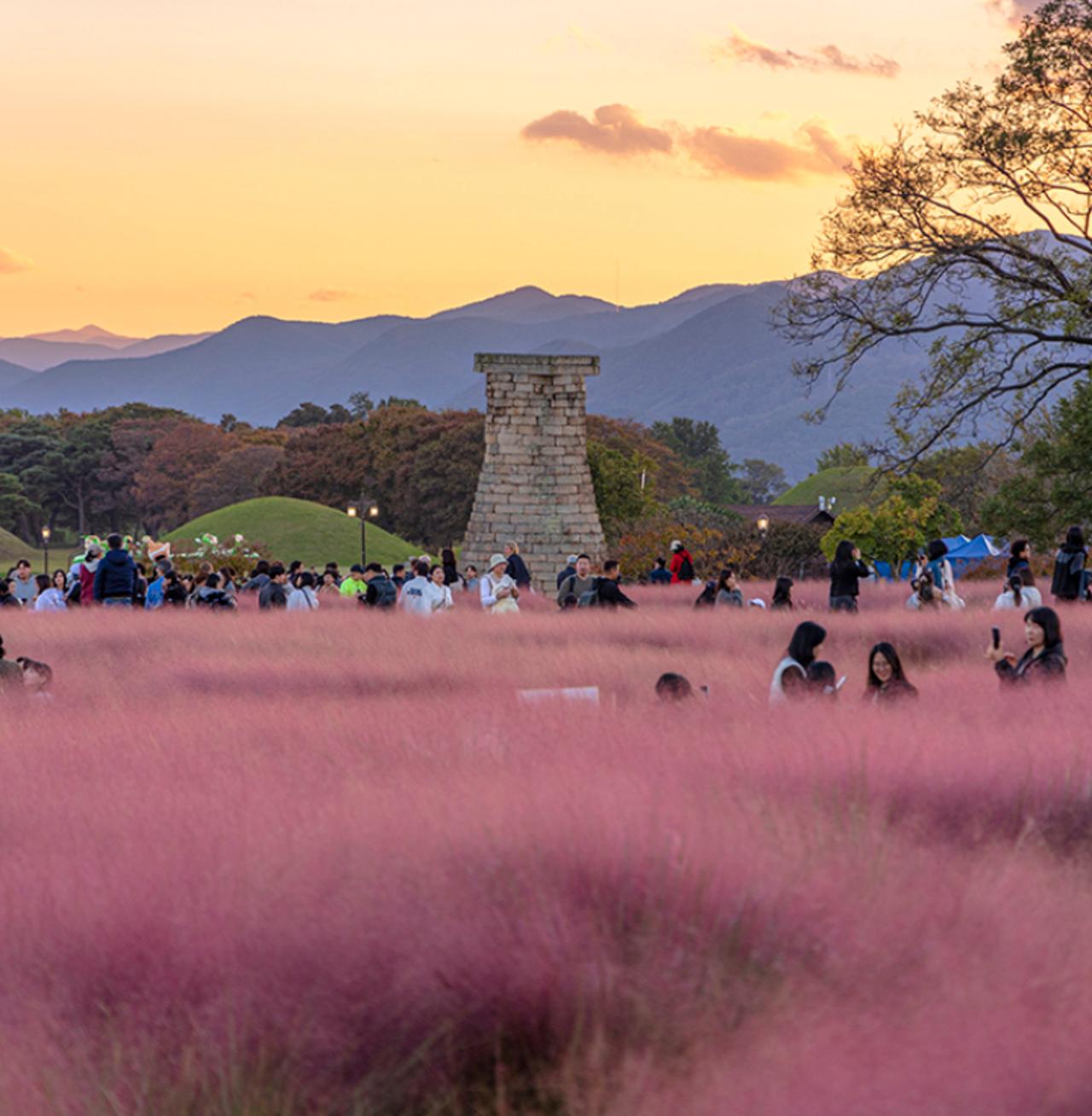 Gyeongju Ancient Capital Day Tour from Busan