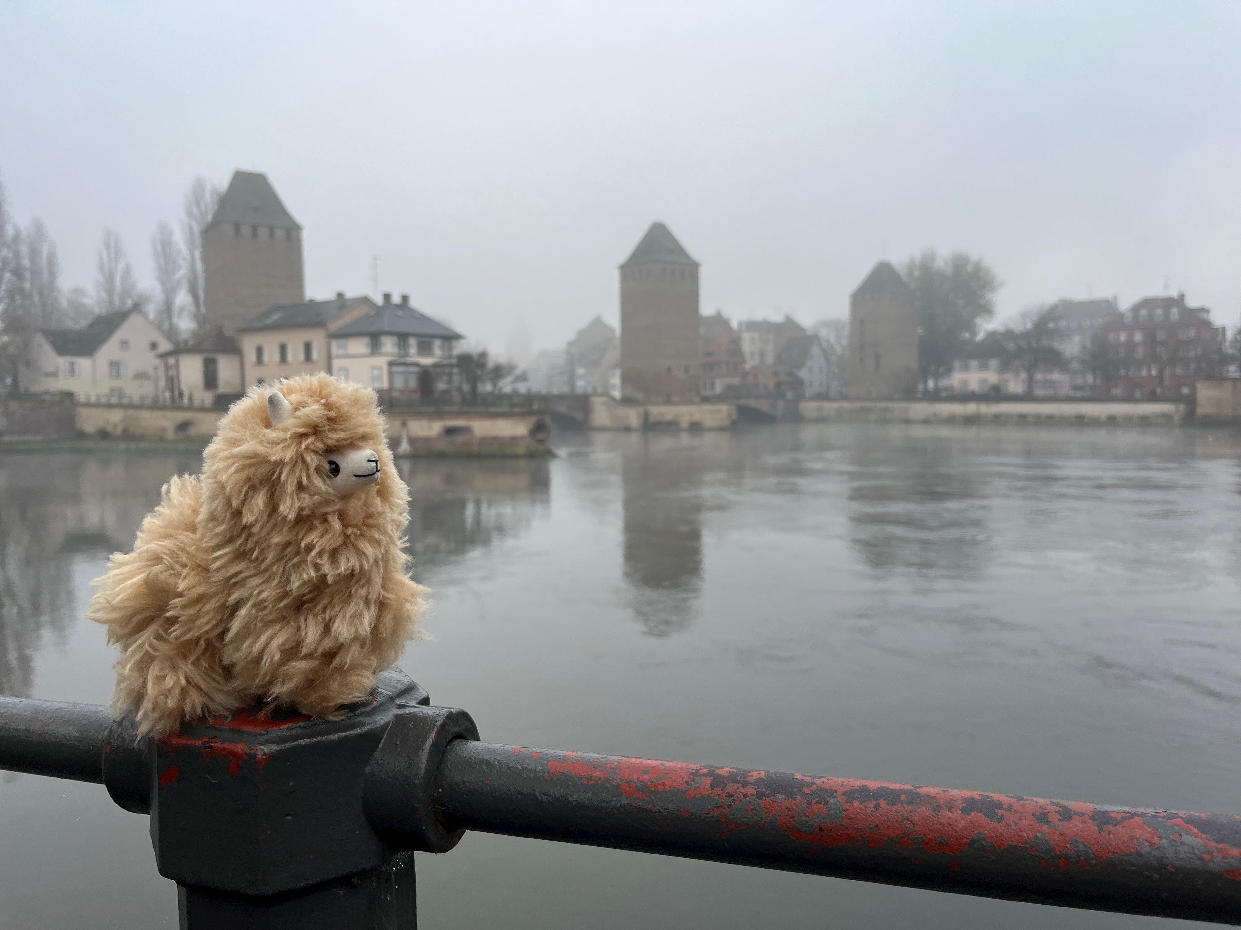 Private Alsace Discovery: Colmar, Medieval Villages & Mountaintop Castle