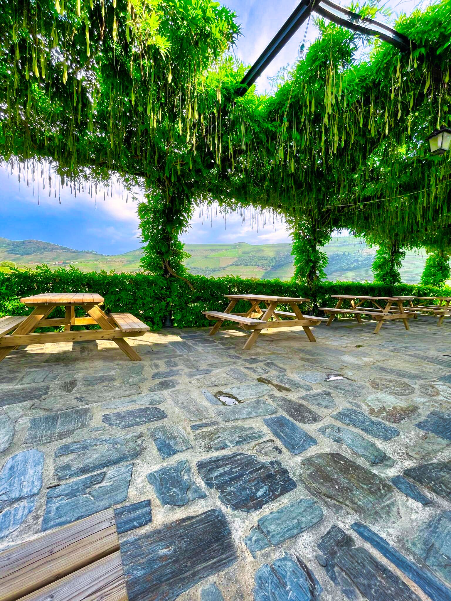 Douro Valley Private Day Tour: Twin Vineyard Visits & River Cruise from Porto