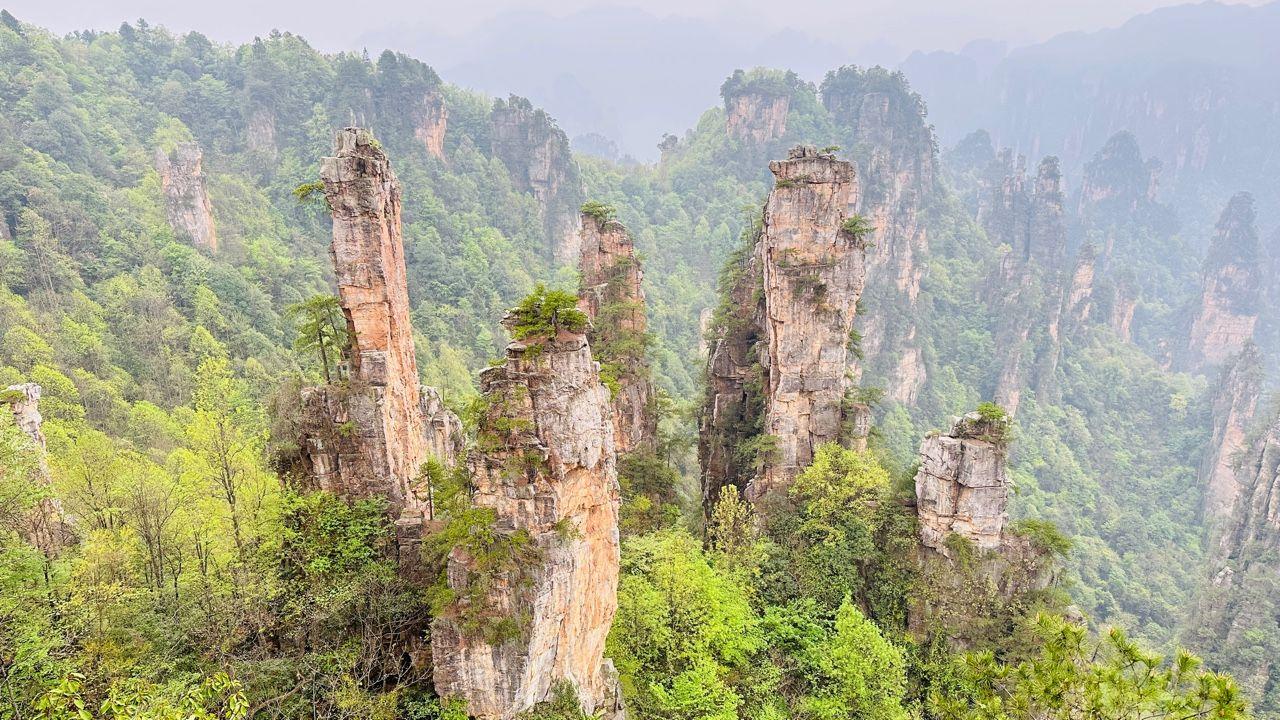 Zhangjiajie National Forest Park Private VIP Day Tour