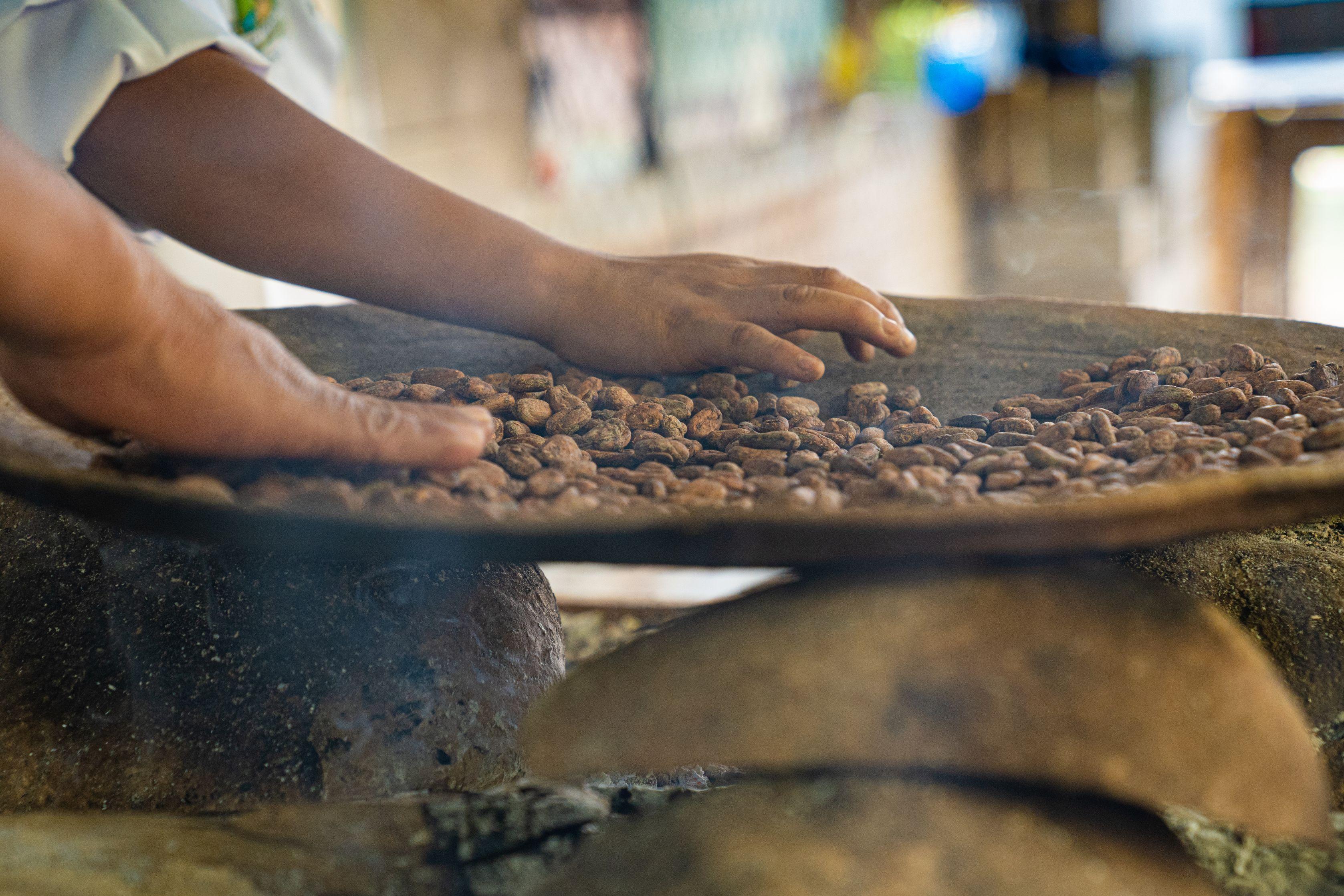 chocolate tour in Mérida — photo 16
