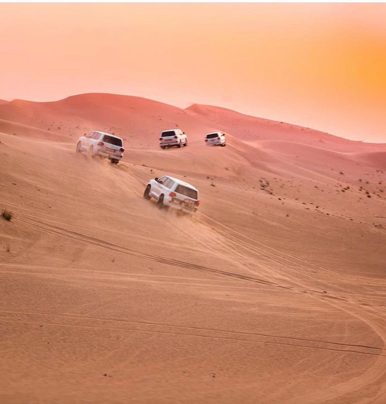Doha: Inland Sea Desert Safari & Dune Bashing