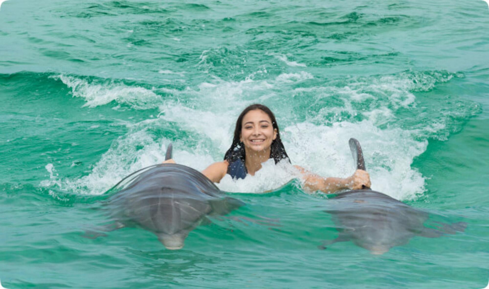 Punta Cana: Royal Dolphin Swim and Marine Encounter