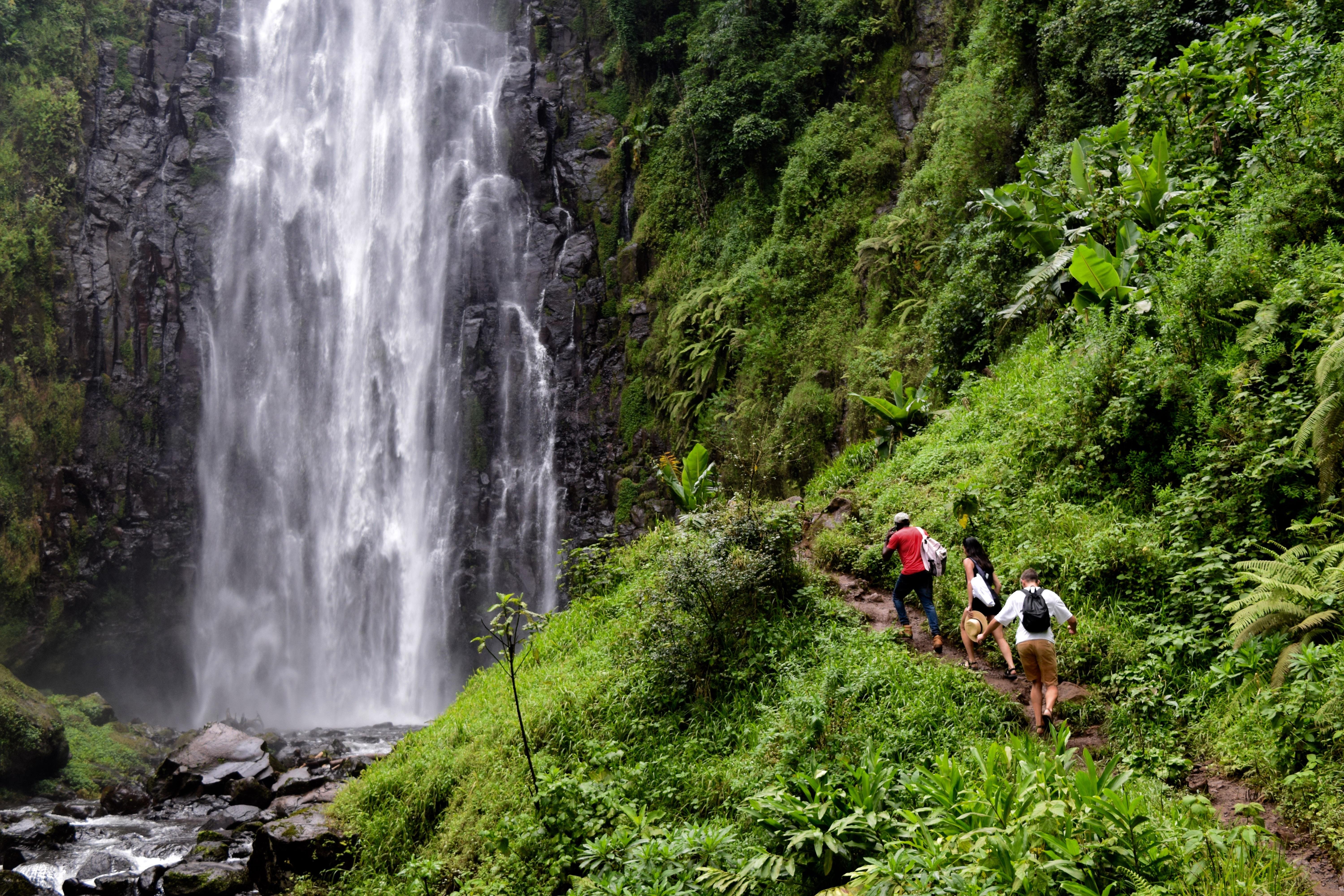 Materuni Waterfalls, Chemka Hot Springs & Coffee Experience