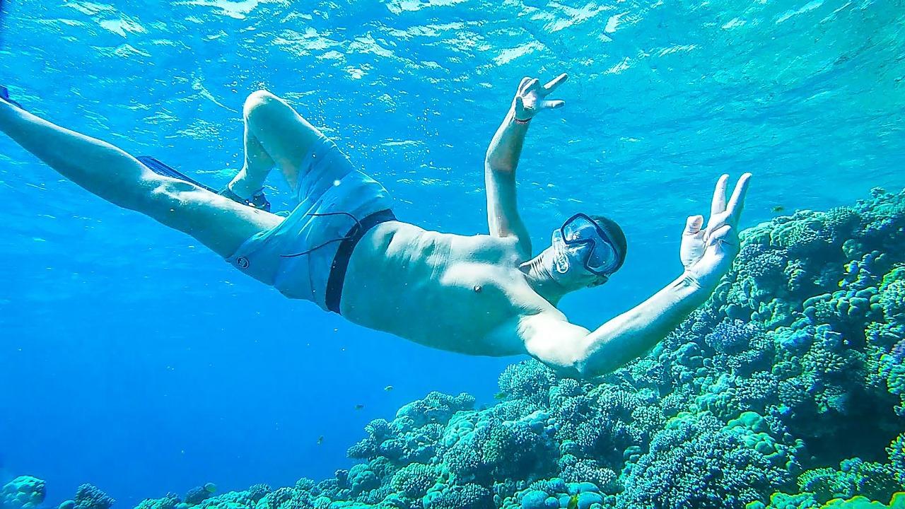 Sharm el-Sheikh: White Island & Ras Mohamed National Park Snorkeling Day Trip