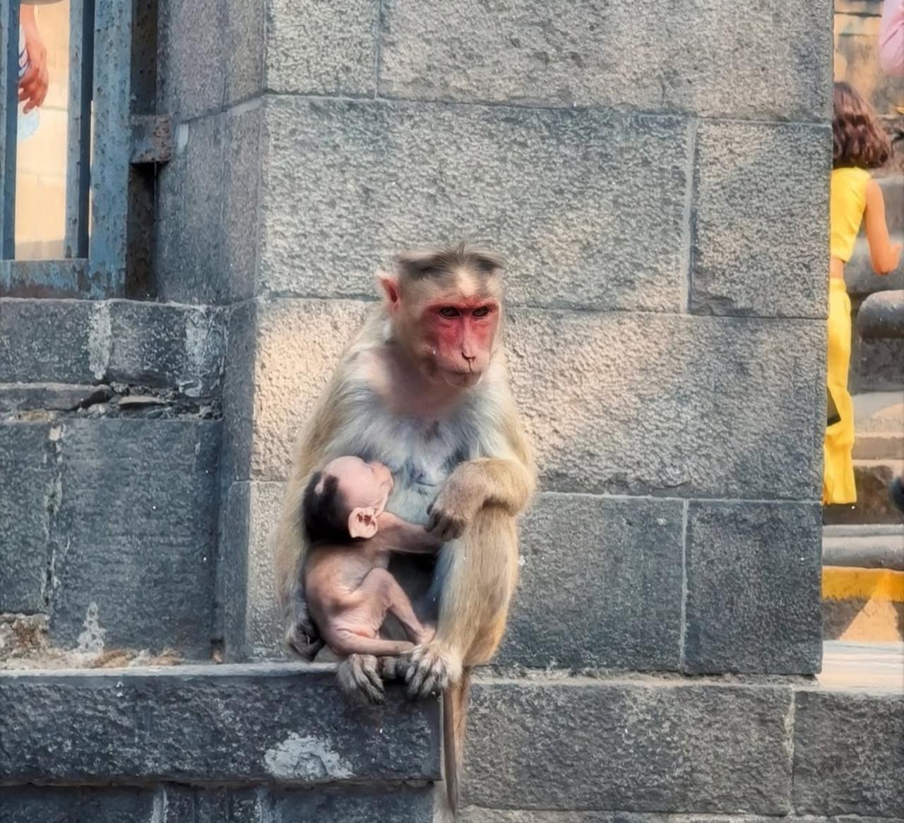 2-Day Private Maharashtra Heritage & Mumbai Highlights Tour