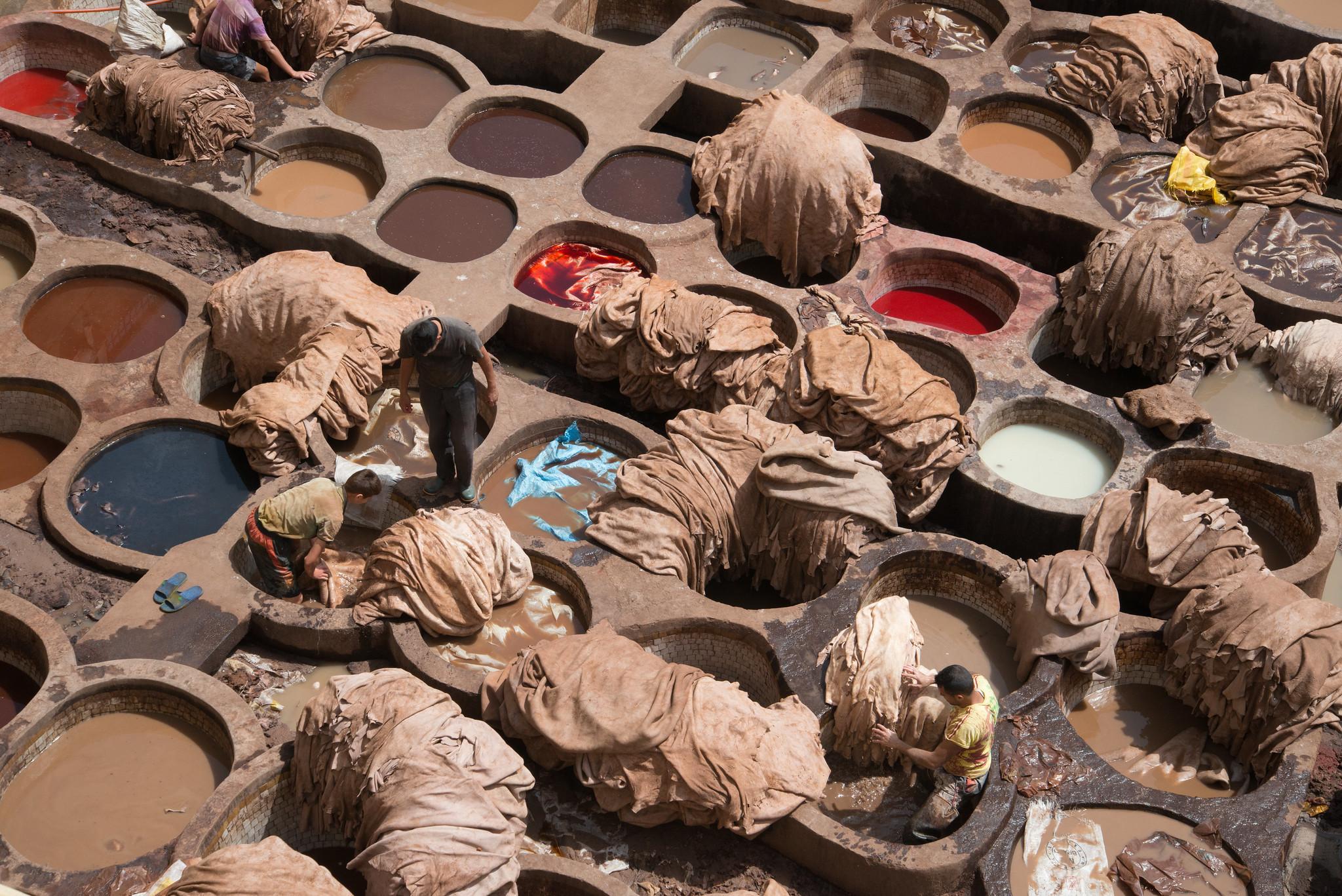 Fes Imperial City: Medina, Tanneries, and Craftsmanship Tour