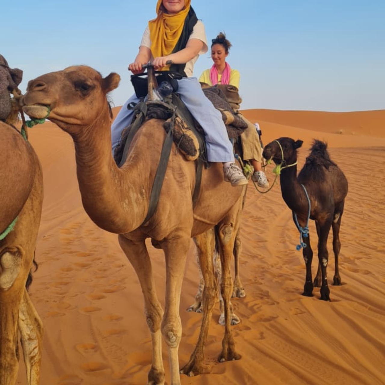 3-Day Merzouga Desert Expedition from Marrakech