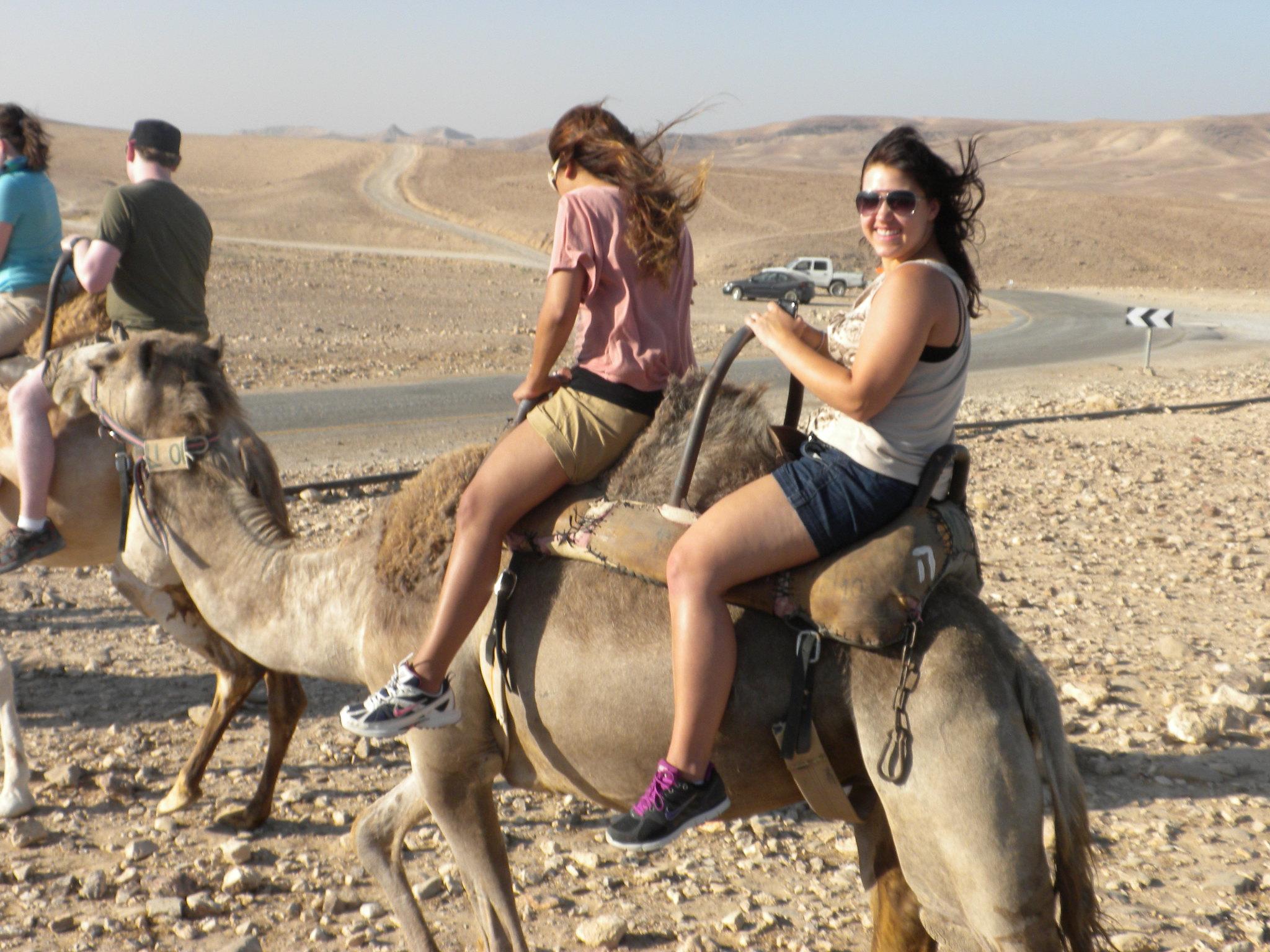 Agadir Camel Trekking Adventure with Refreshments