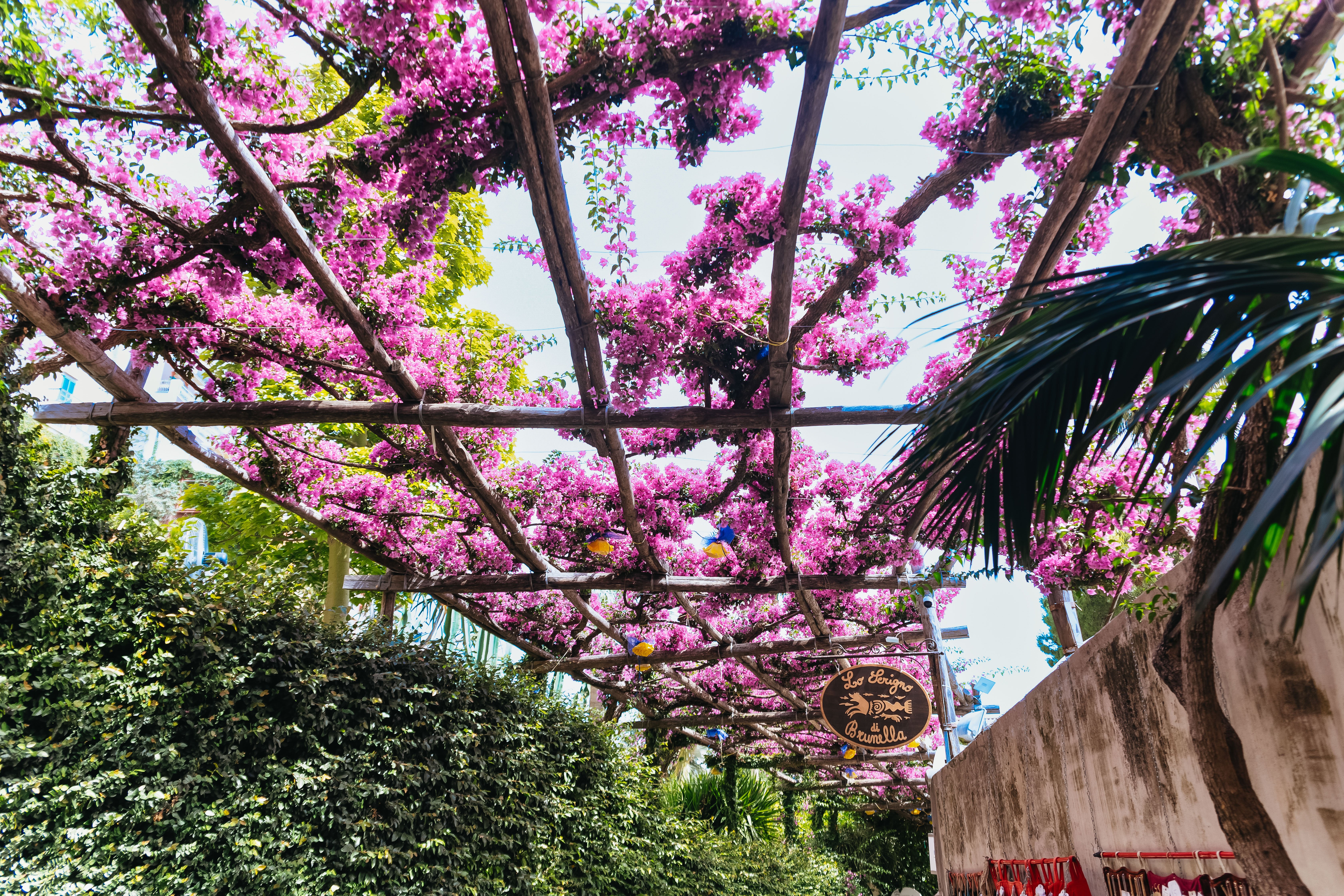 Pompeii & Amalfi Coast Day Trip from Rome